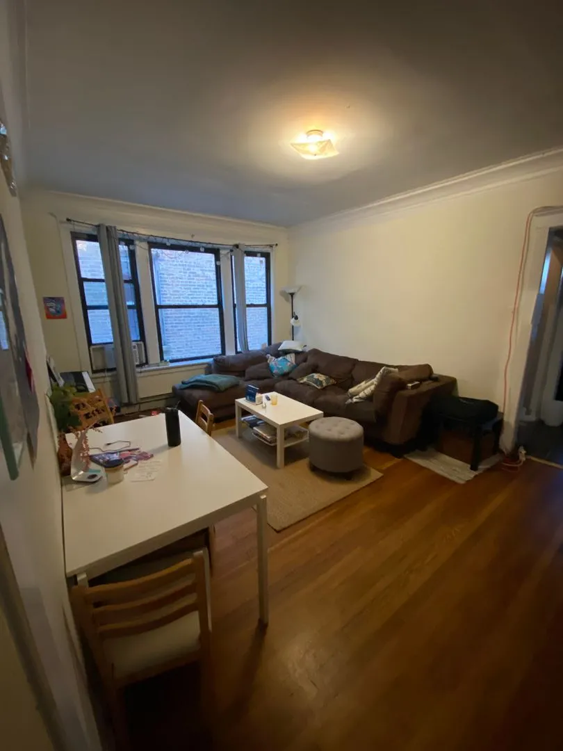 5424 S University Ave, ,  60615, USA 60615-unit#2S-Chicago-IL