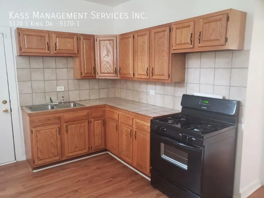 5162 S King Dr, , 60615, USA 60615-unit#5170-1-Chicago-IL