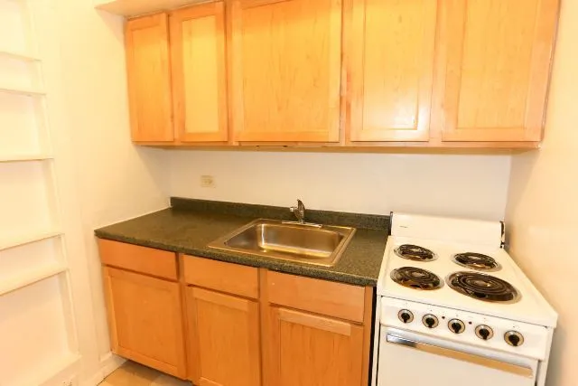 536 W Arlington Pl, ,  60614, USA 60614-unit#305-Chicago-IL