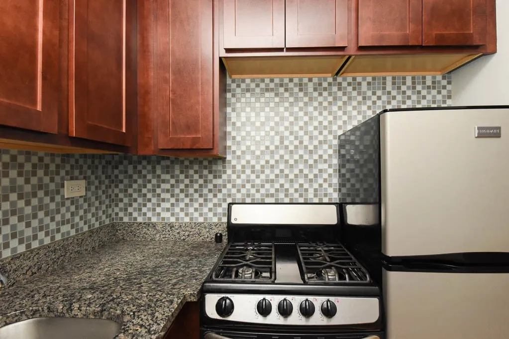 550 W Arlington Pl, , 60614, USA 60614-unit#207-Chicago-IL