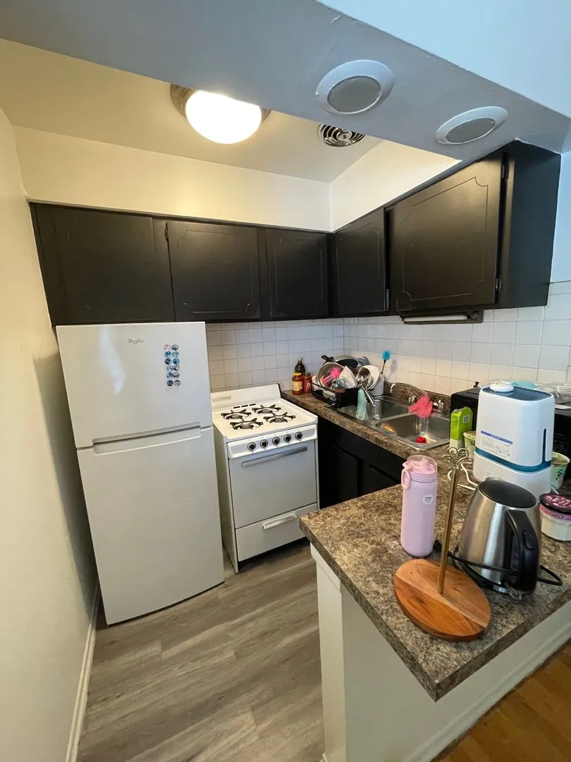 535 W Briar Pl, , 60657, USA 60657-unit#352-Chicago-IL