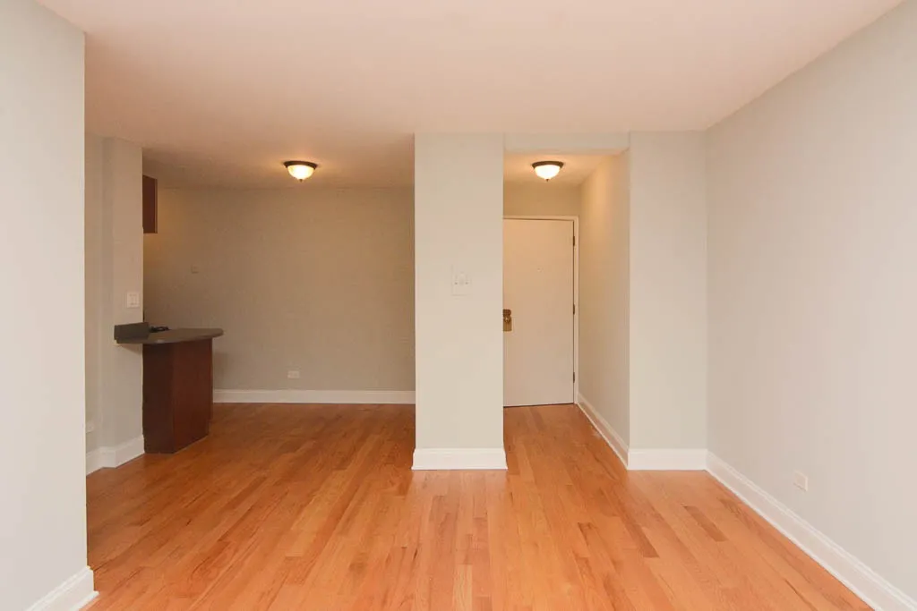 445 W Barry Ave, ,  60657, USA 60657-unit#303-Chicago-IL