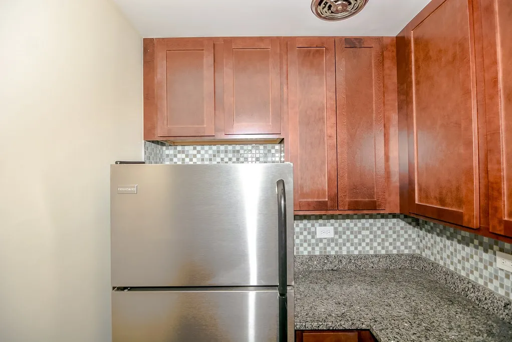 555 W Arlington Pl, ,  60614, USA 60614-unit#405-Chicago-IL