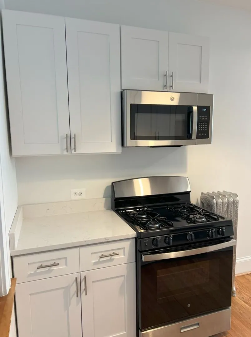 2442 N Racine Ave, ,  60614, USA 60614-unit#1-Chicago-IL