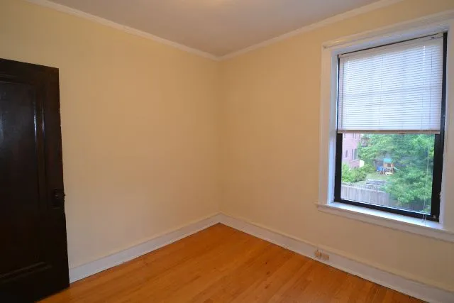 3902 N Janssen Ave, ,  60613, USA 60613-unit#2-Chicago-IL