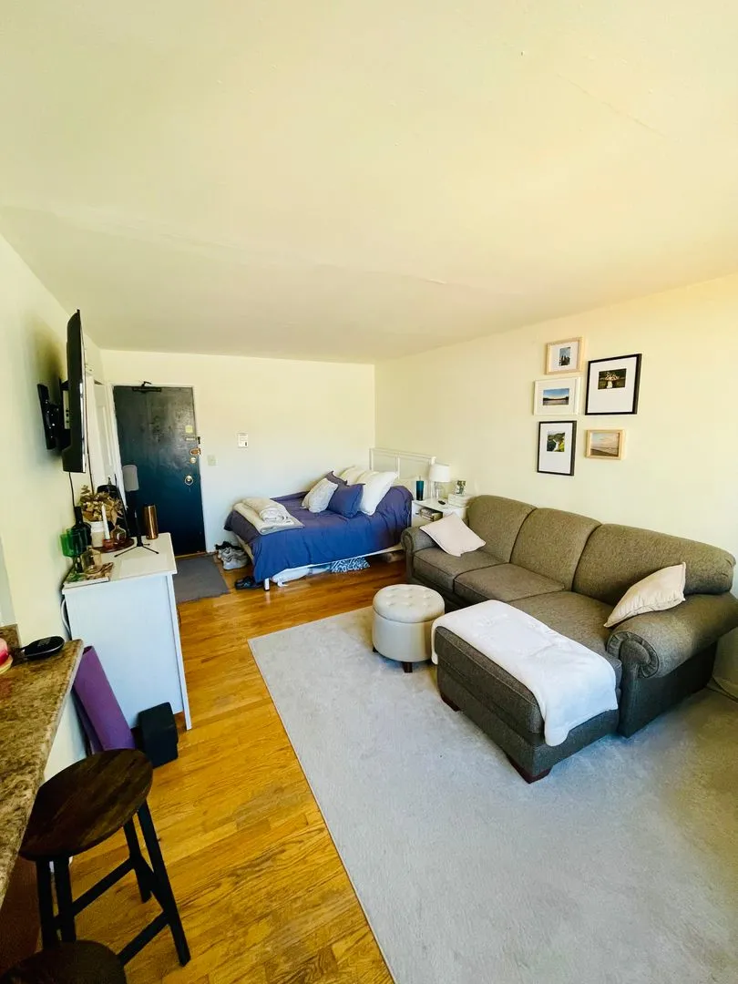 3160 N Cambridge Ave, , 60657, USA 60657-unit#504-Chicago-IL