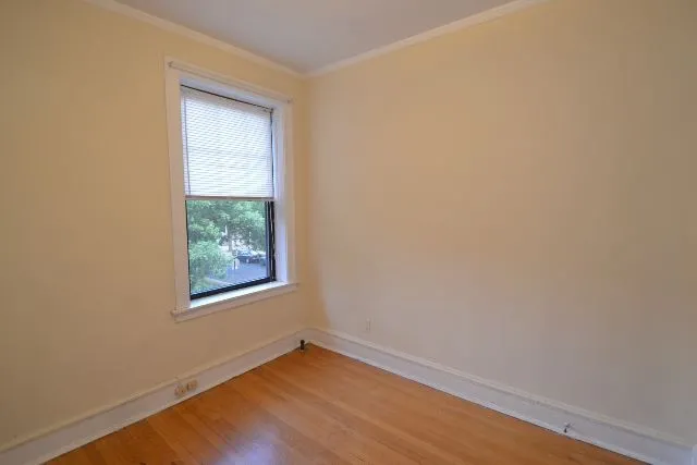 3902 N Janssen Ave, ,  60613, USA 60613-unit#2-Chicago-IL