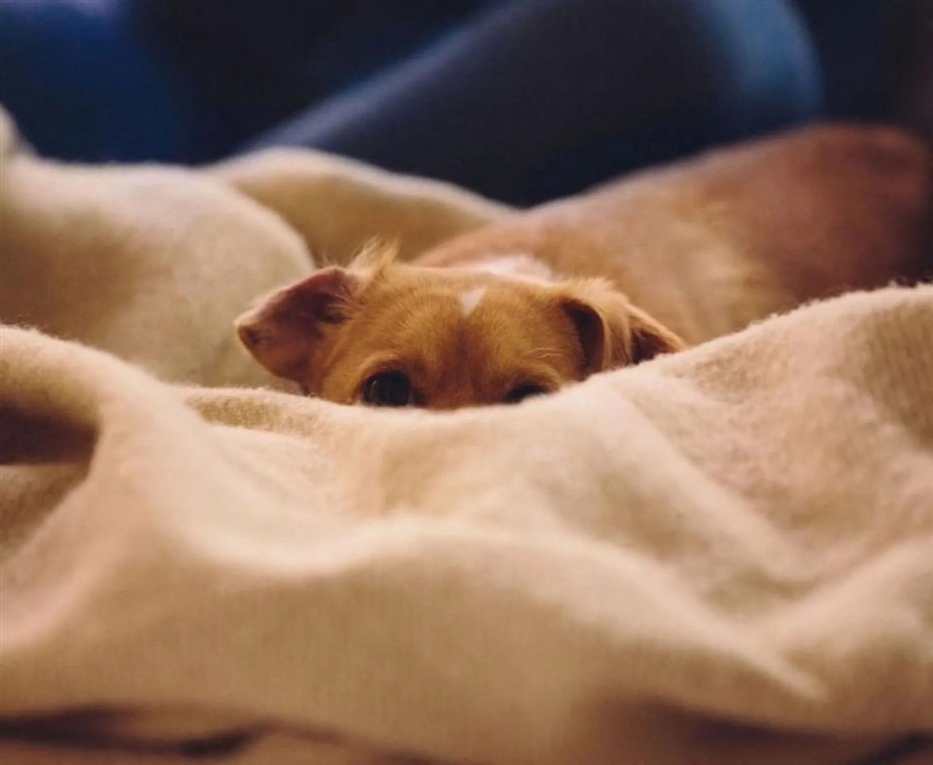 450-454 W Belmont Ave, ,  60657, USA 60657-unit#1104-Chicago-IL