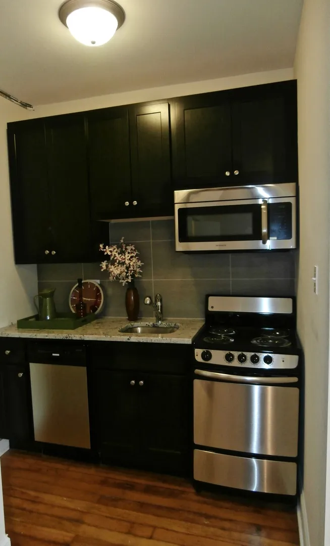 339 Howard St, ,  60202, USA 60202-unit#303-Evanston-IL