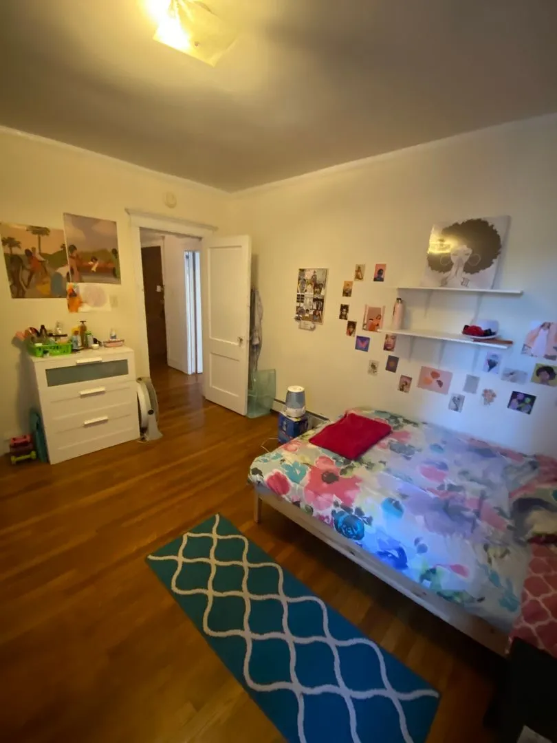 5424 S University Ave, ,  60615, USA 60615-unit#2S-Chicago-IL