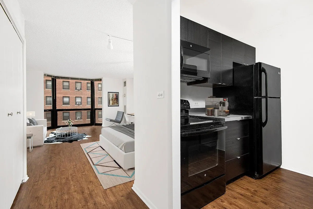 1111 North Dearborn Apartments in River. North, Chicago