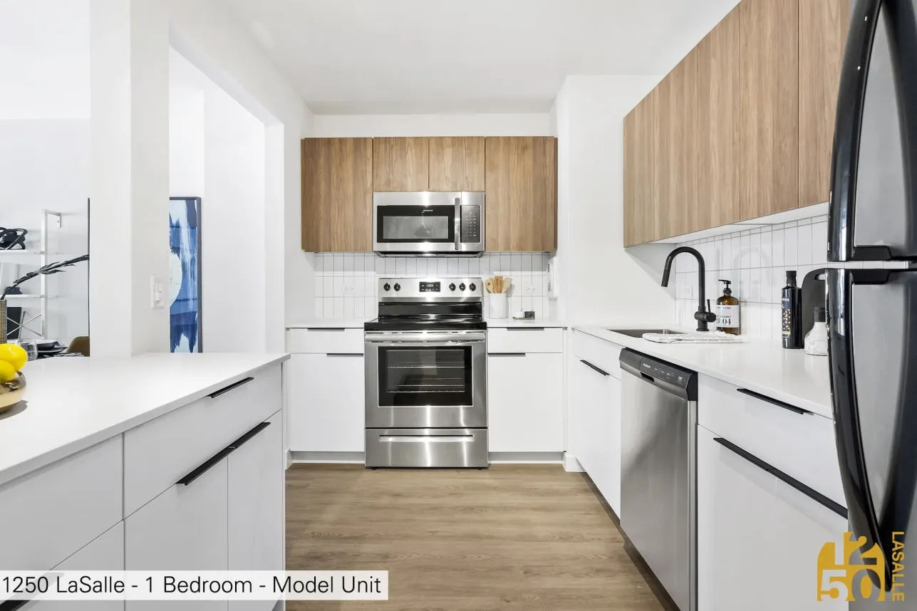1250 North LaSalle Apartments