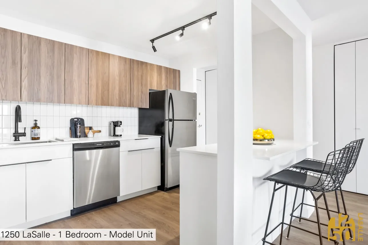 1250 North LaSalle Apartments