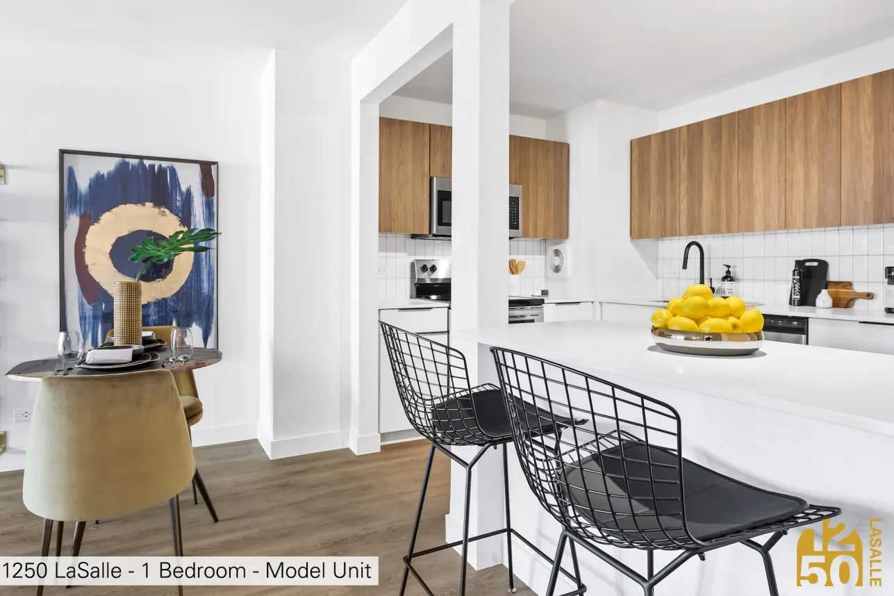 1250 North LaSalle Apartments