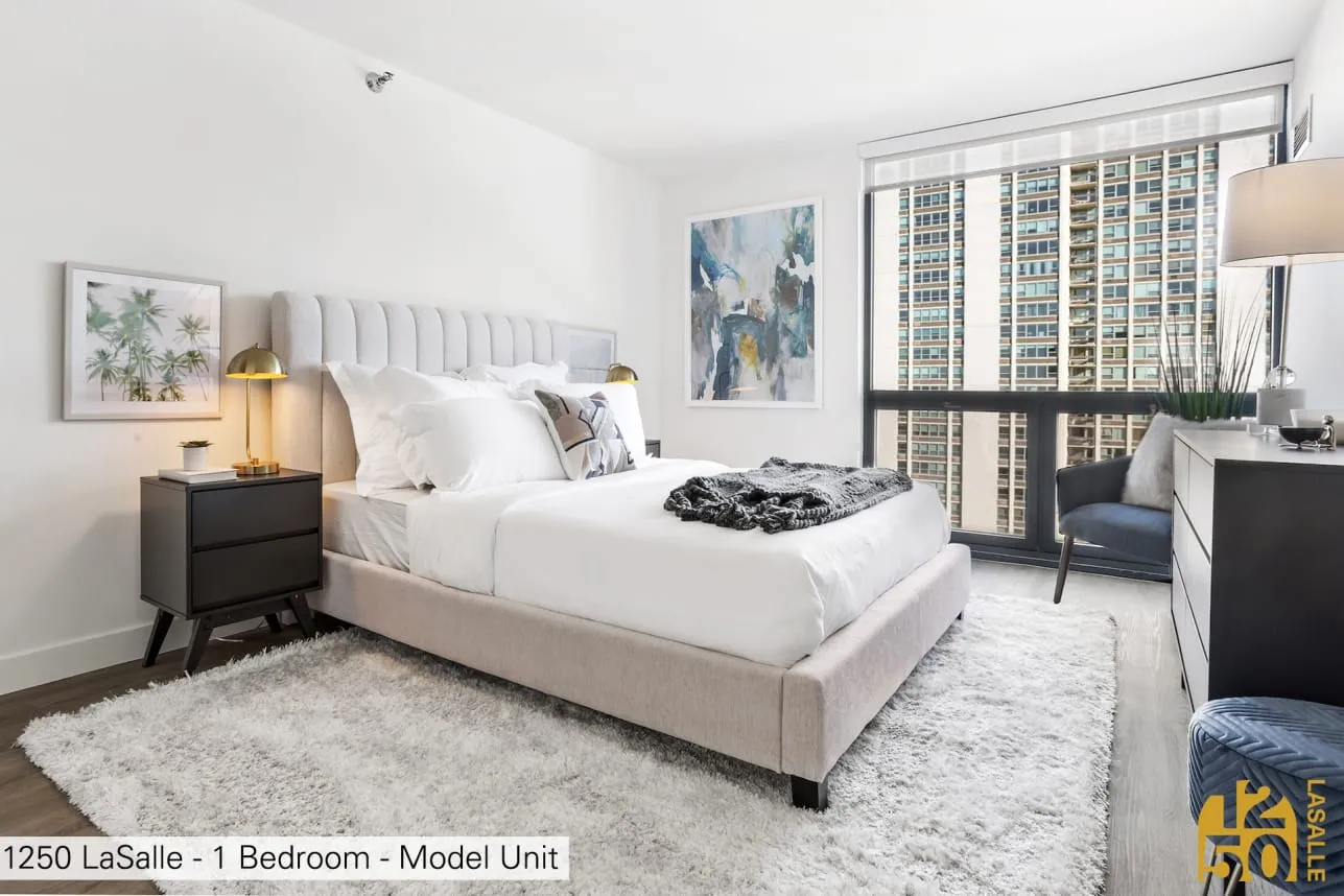 1250 North LaSalle Apartments