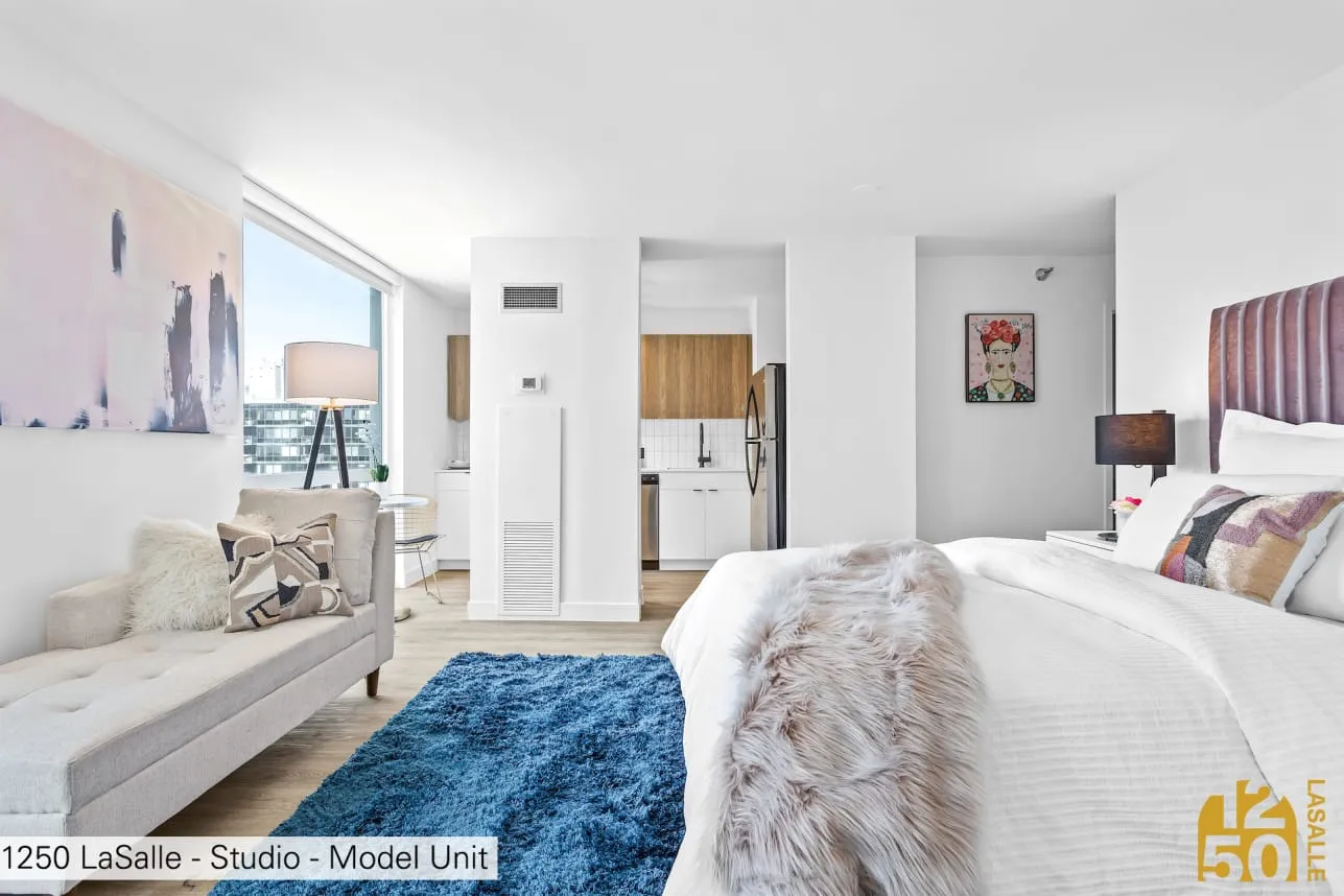 1250 North LaSalle Apartments