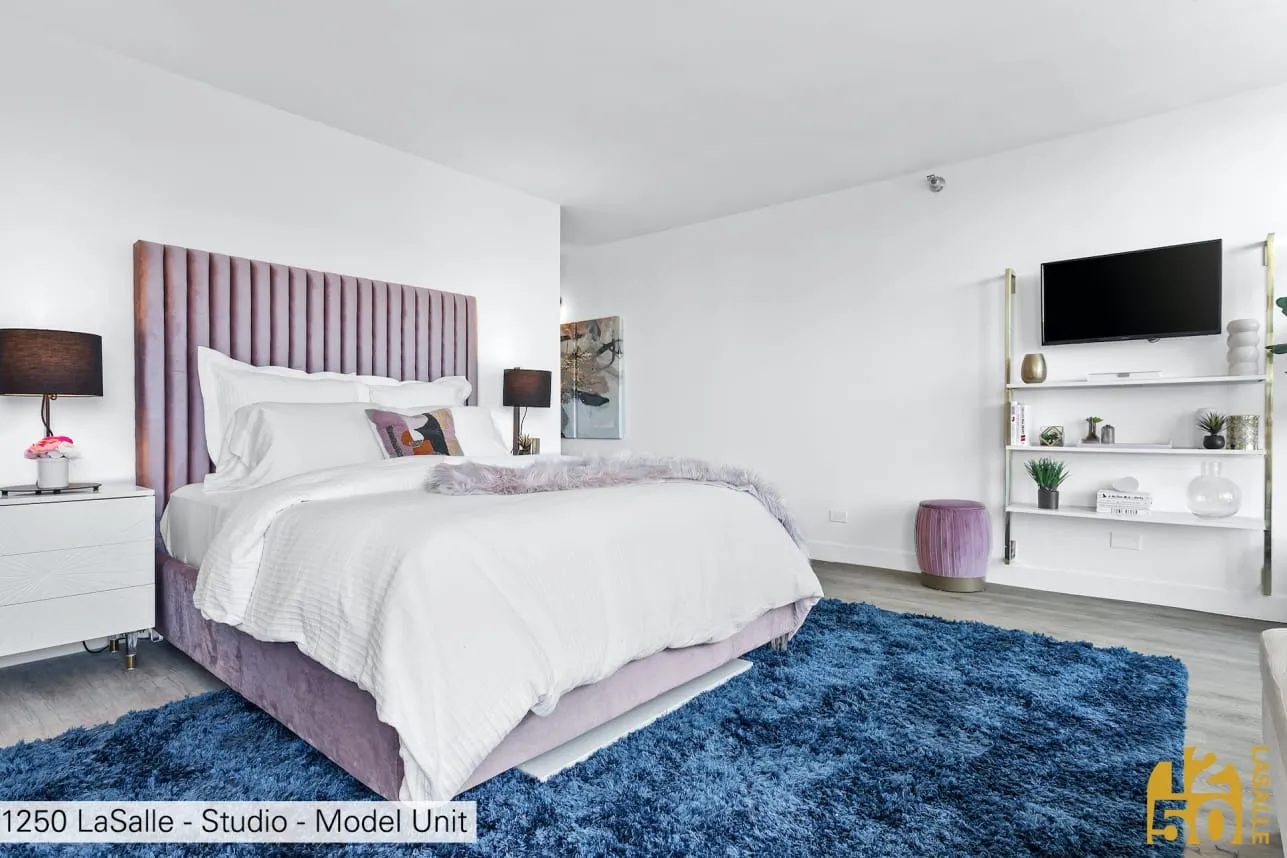 1250 North LaSalle Apartments