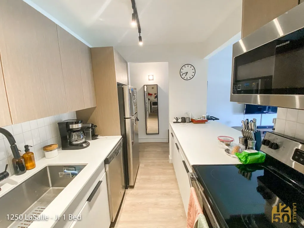 1250 North LaSalle Apartments