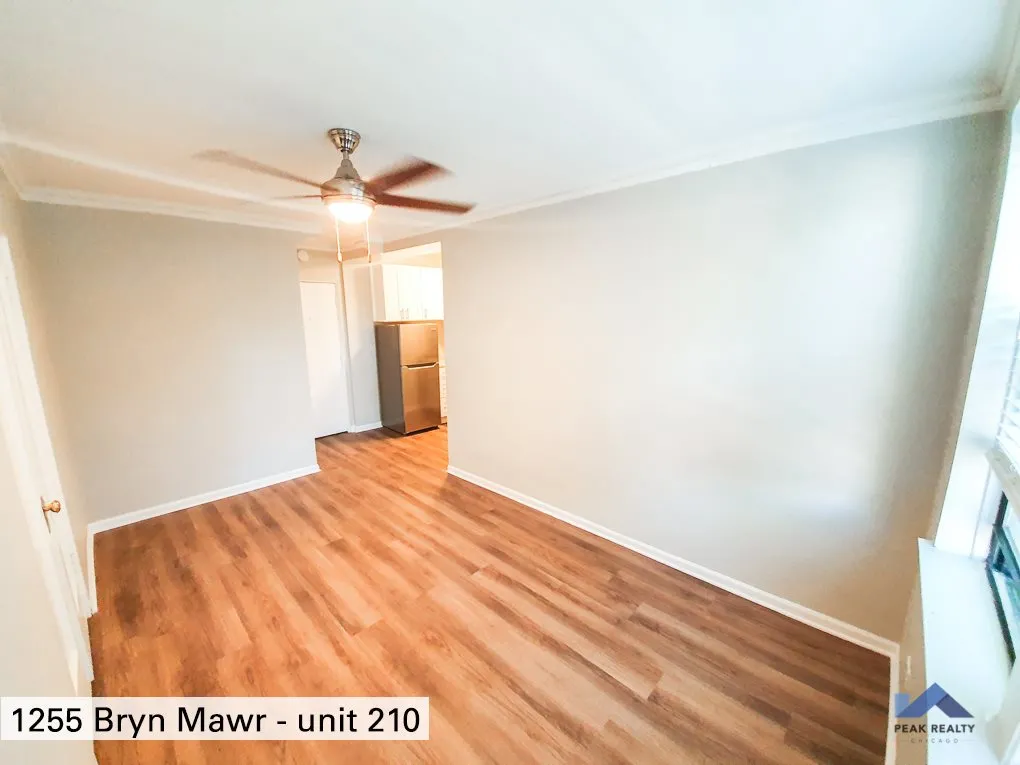 1255 W. Bryn Mawr Apartments