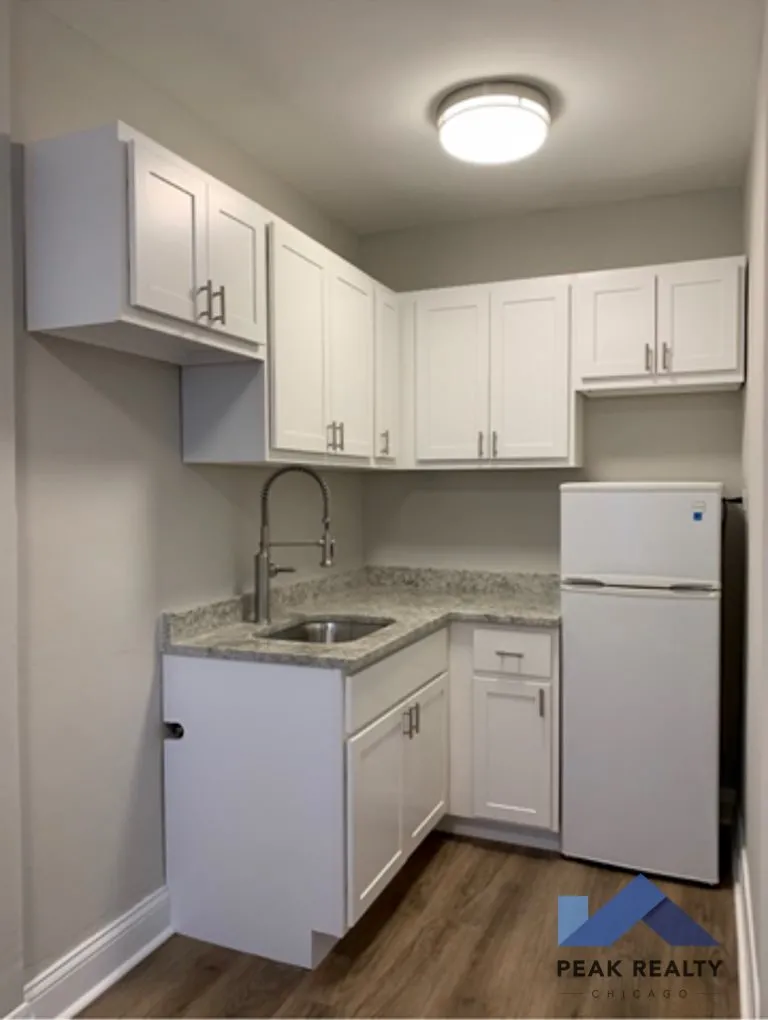 1255 W. Bryn Mawr Apartments