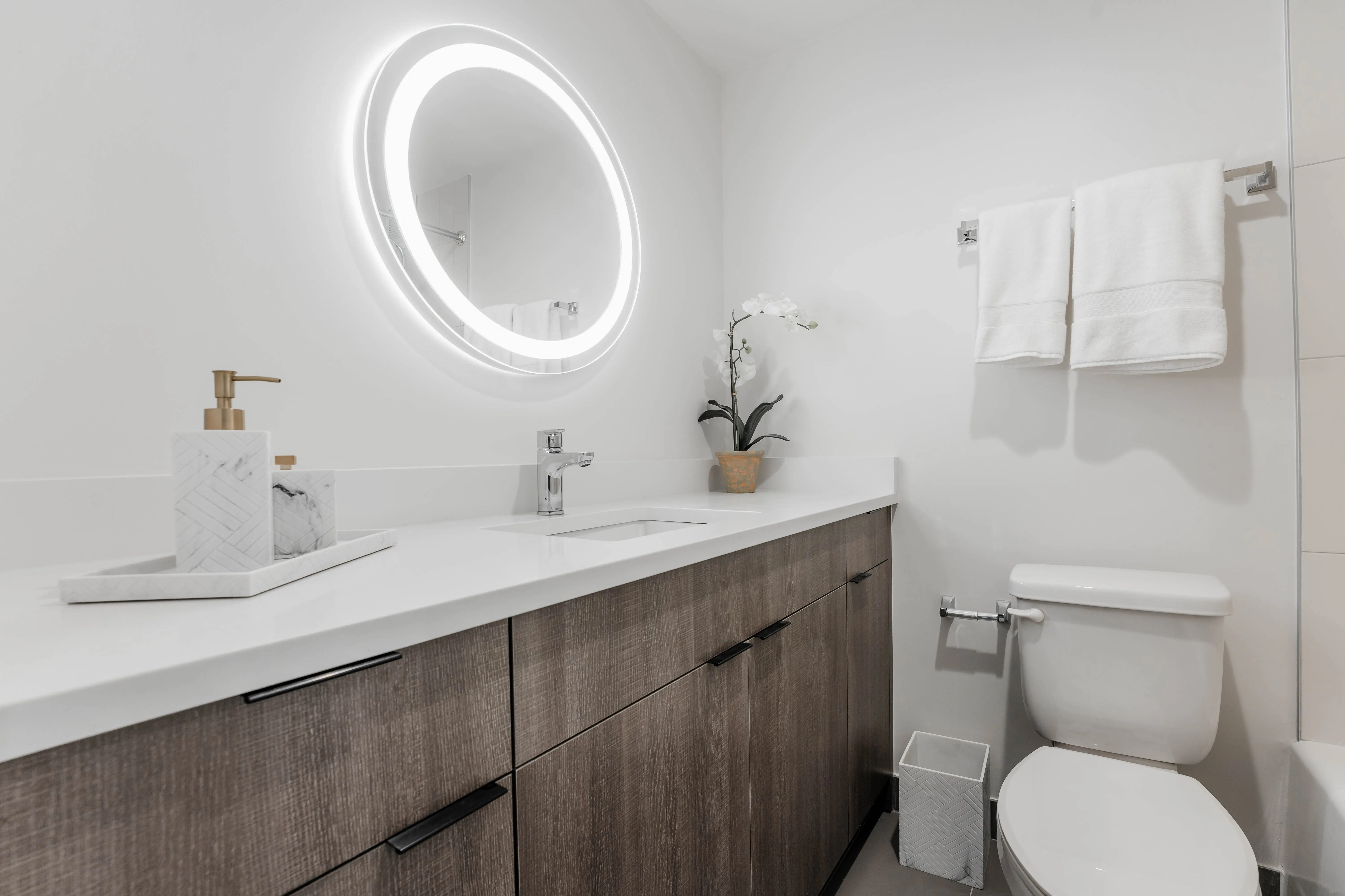 21 E. Chestnut Apartments