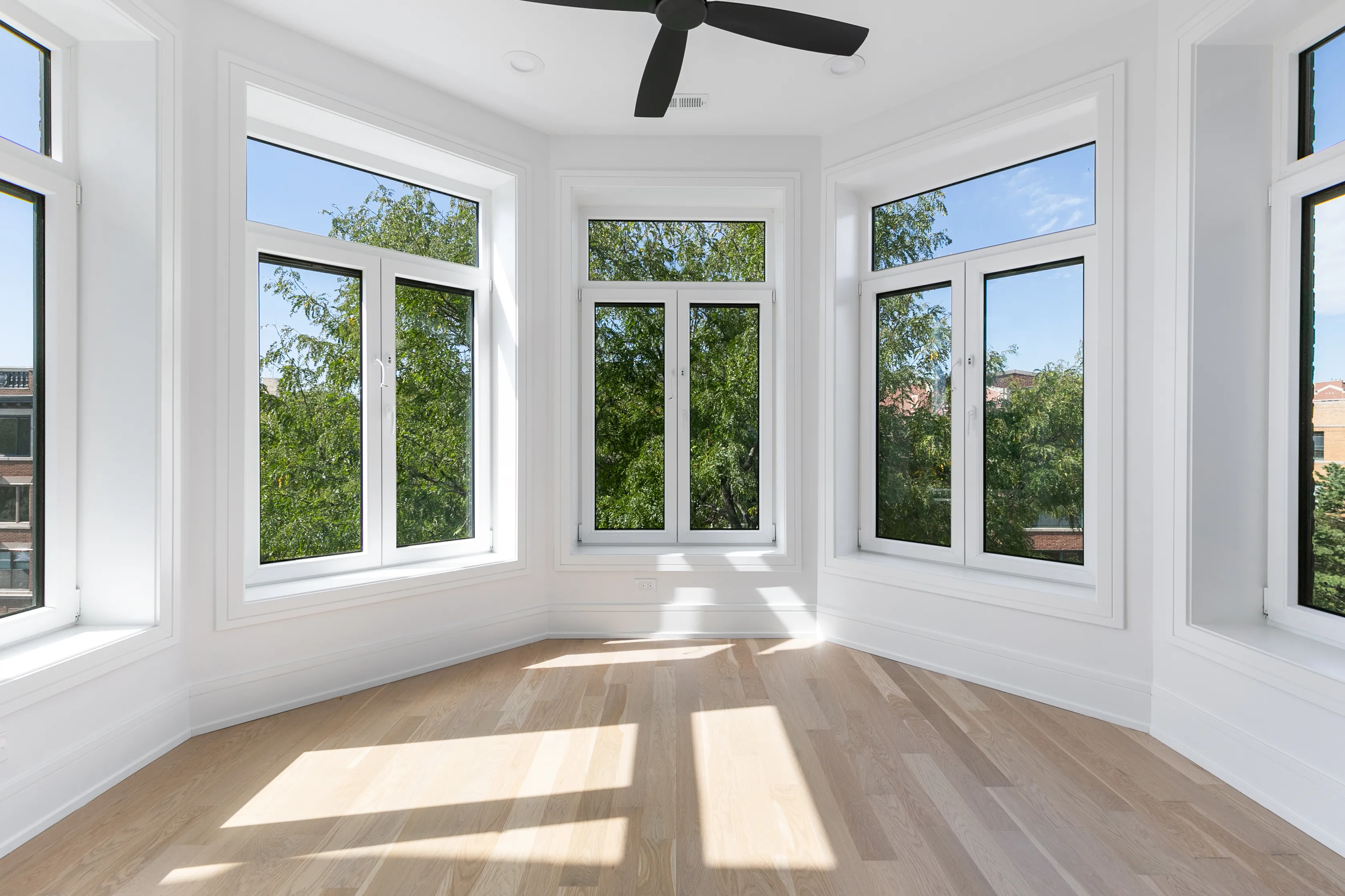 trees at The Eastlake Apartments in Rogers Park, Chicago