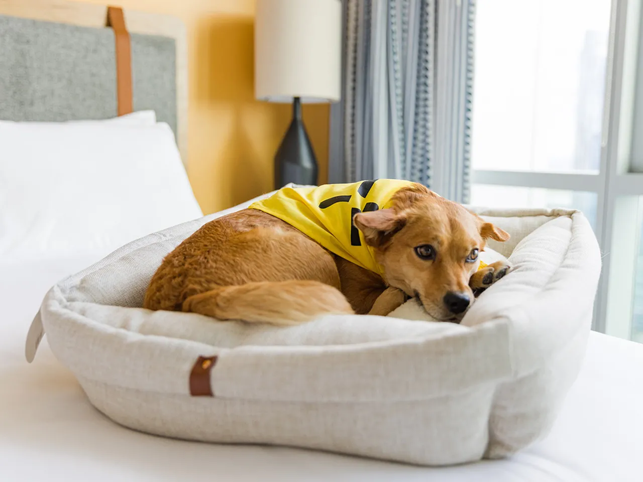 Sentral Michigan Avenue Apartments