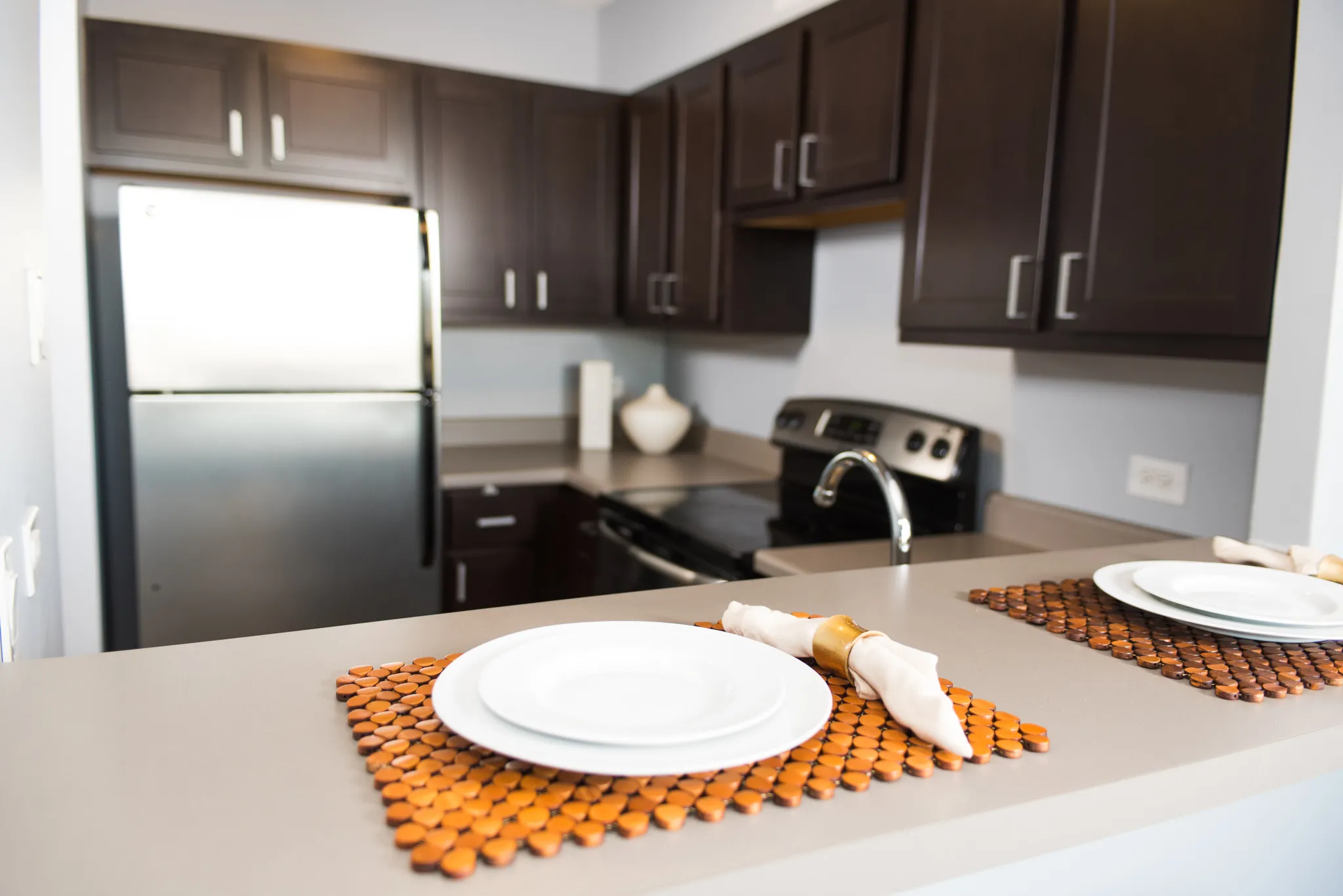 Presidential Towers Apartments in the West loop