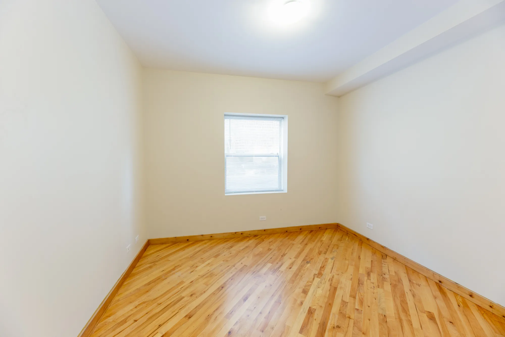 1118-1128 E HYDE PARK BLVD 60615-1118-28 E. Hyde Park-Chicago-IL