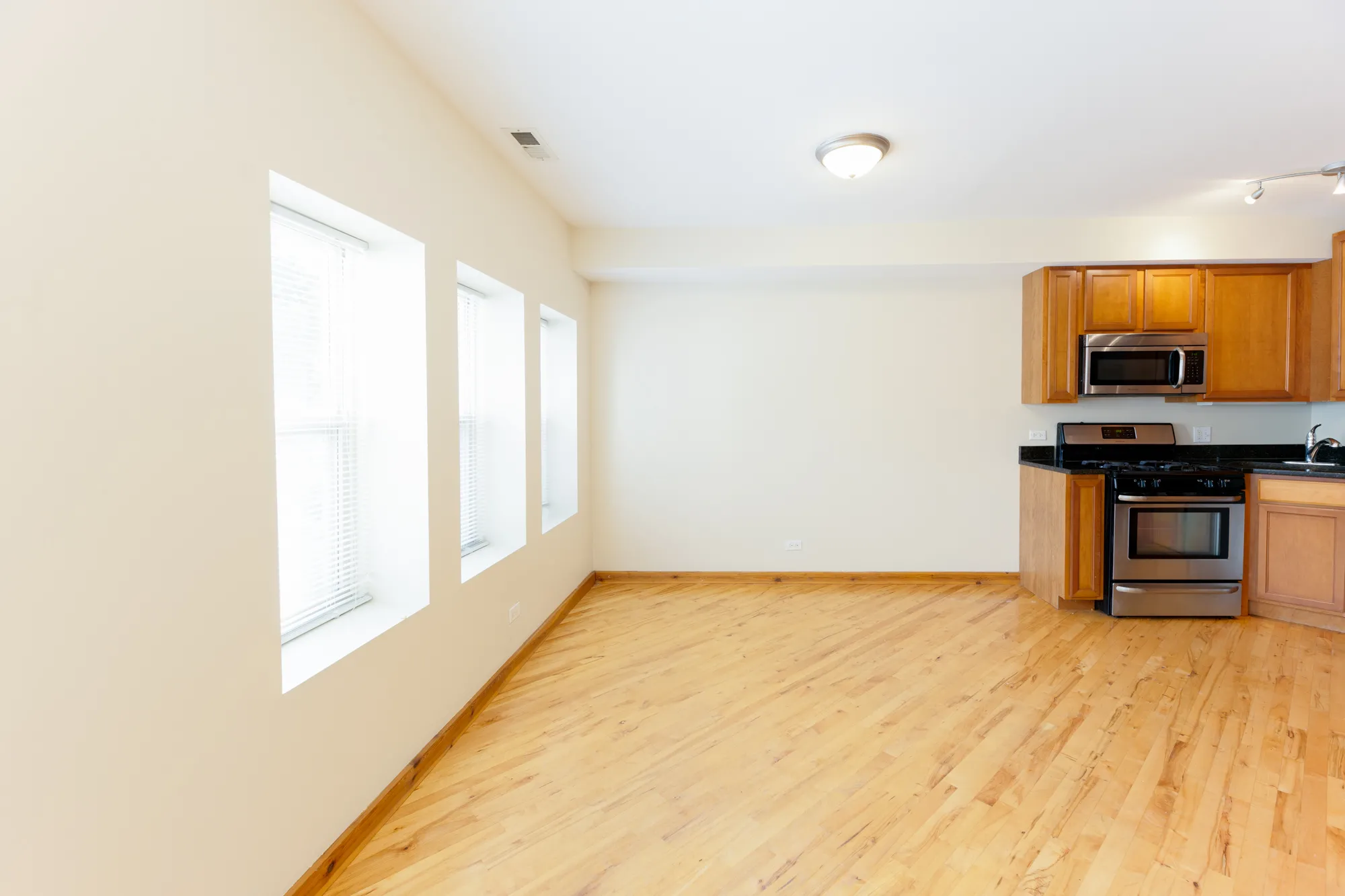 1118-1128 E HYDE PARK BLVD 60615-1118-28 E. Hyde Park-Chicago-IL