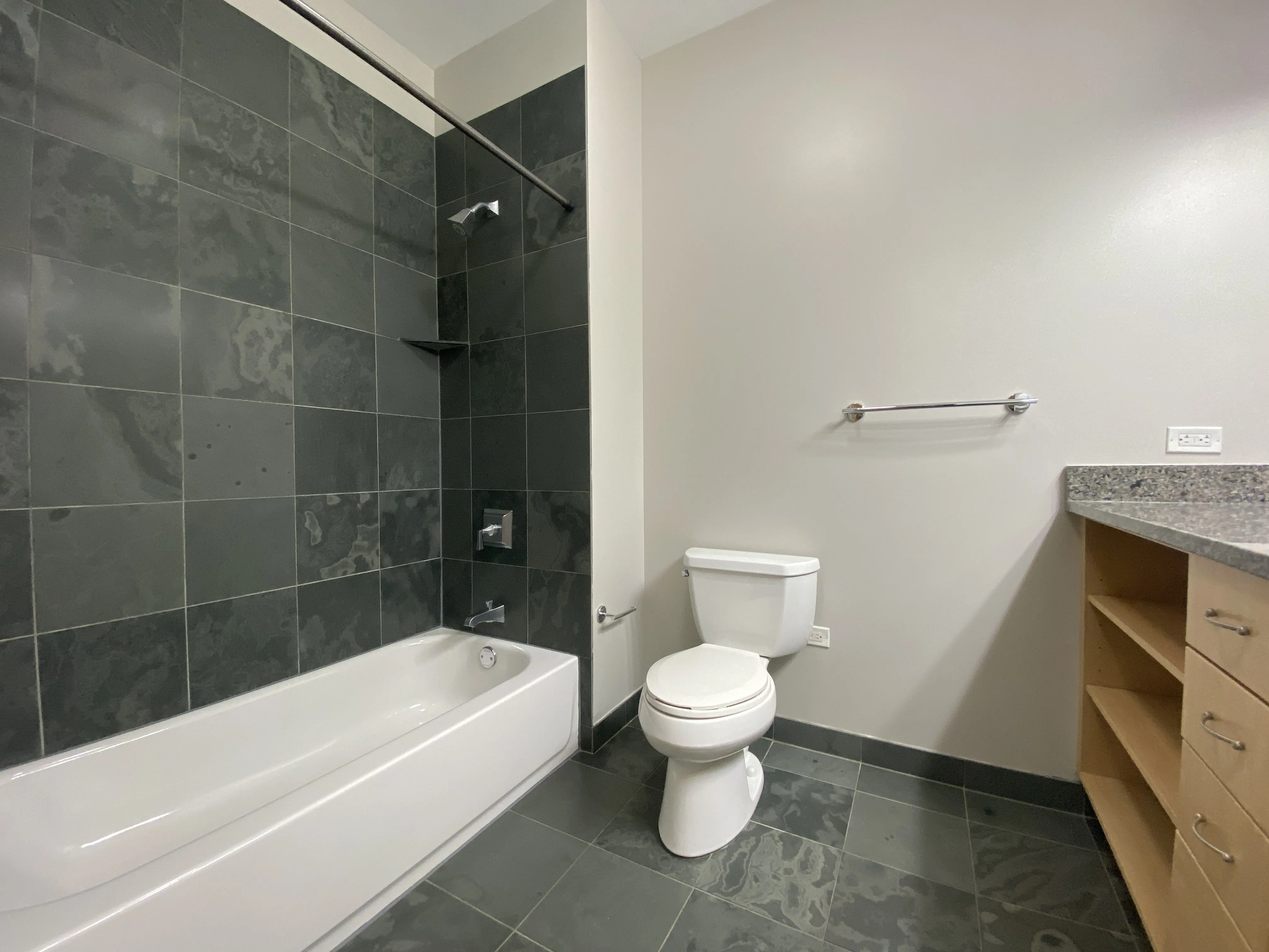 Bucktown Station Apartments