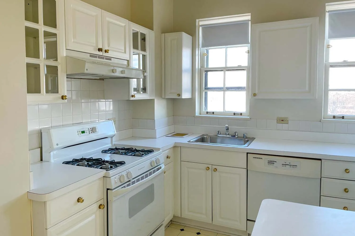 5801 S DORCHESTER AVE 60637-Cloisters-Chicago-IL