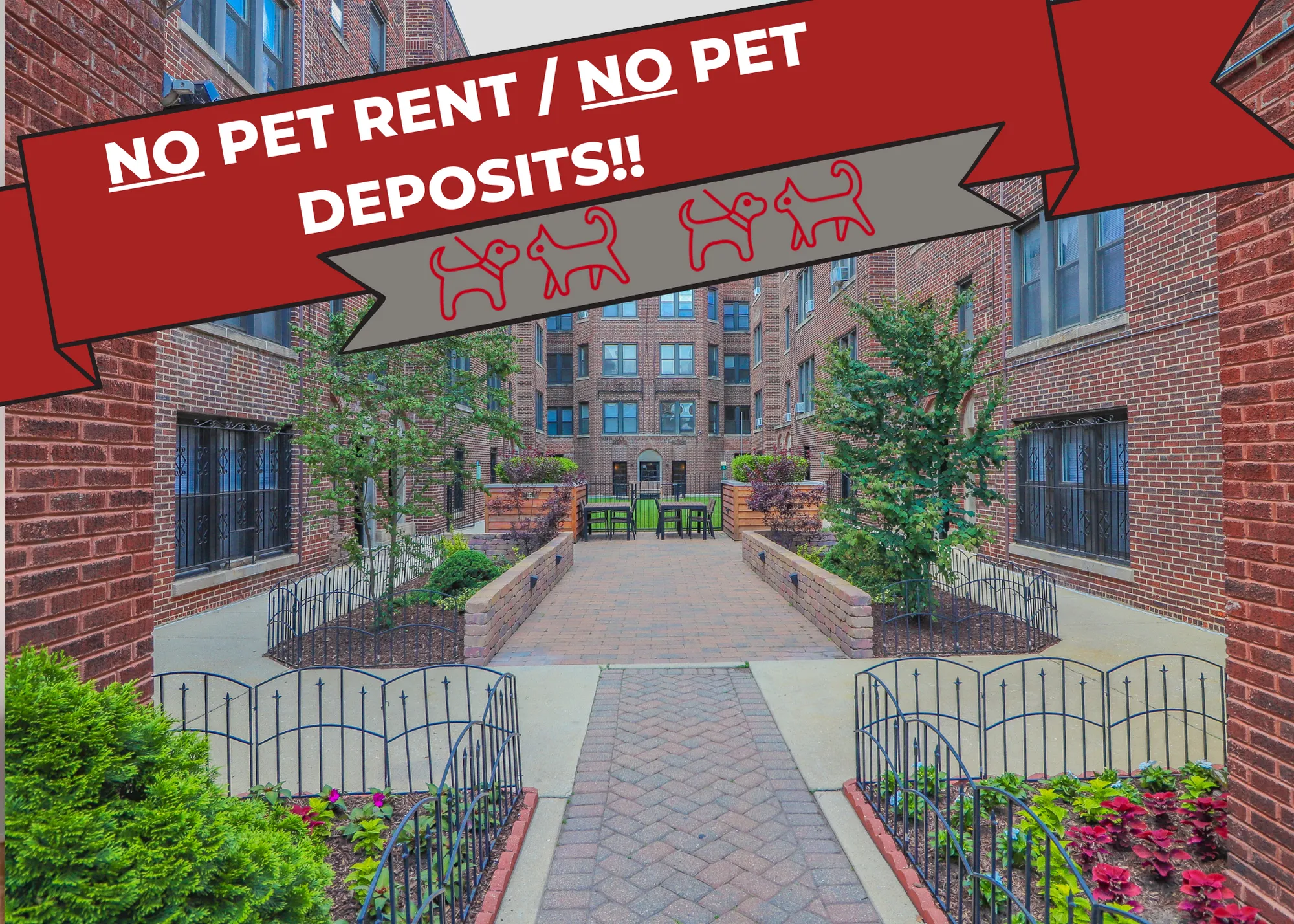 632 W Addison, One Bedroom Living Room