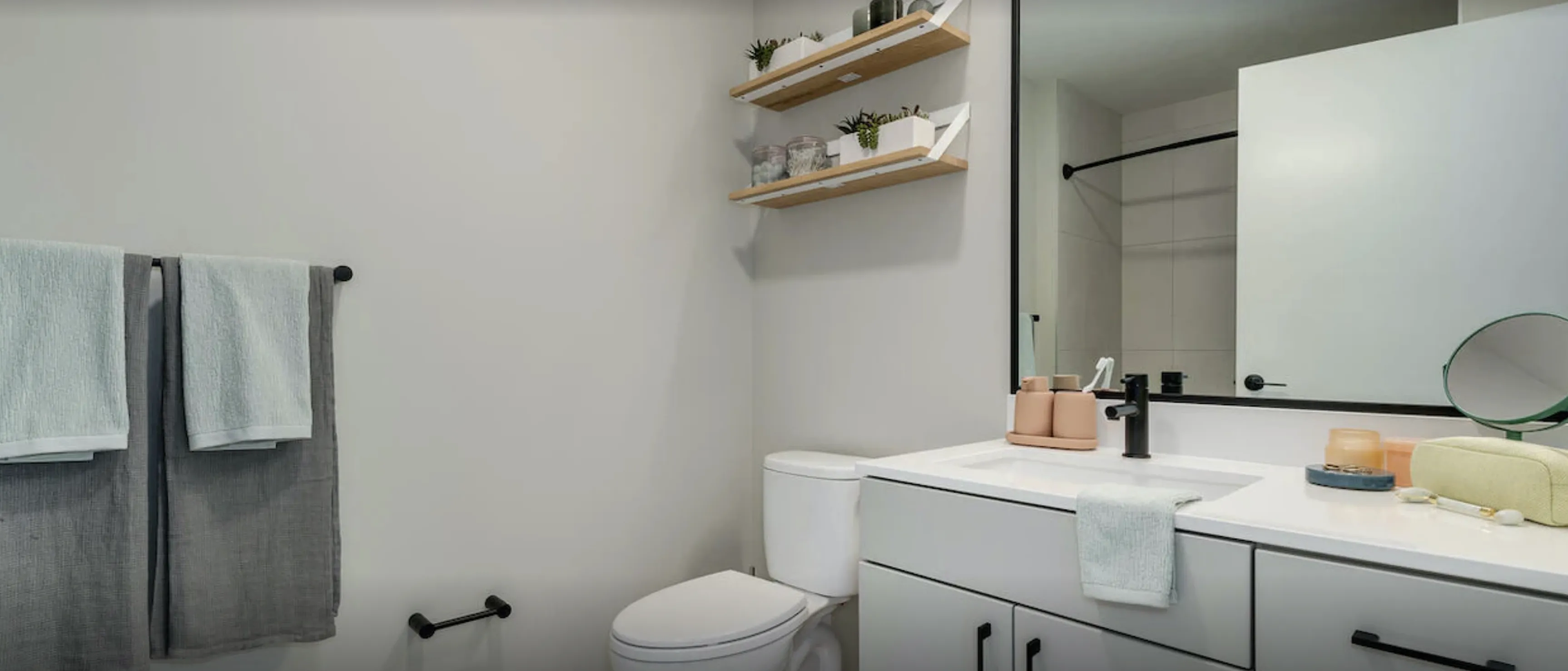 Millie on Michigan Apartments in the Chicago Loop toiket