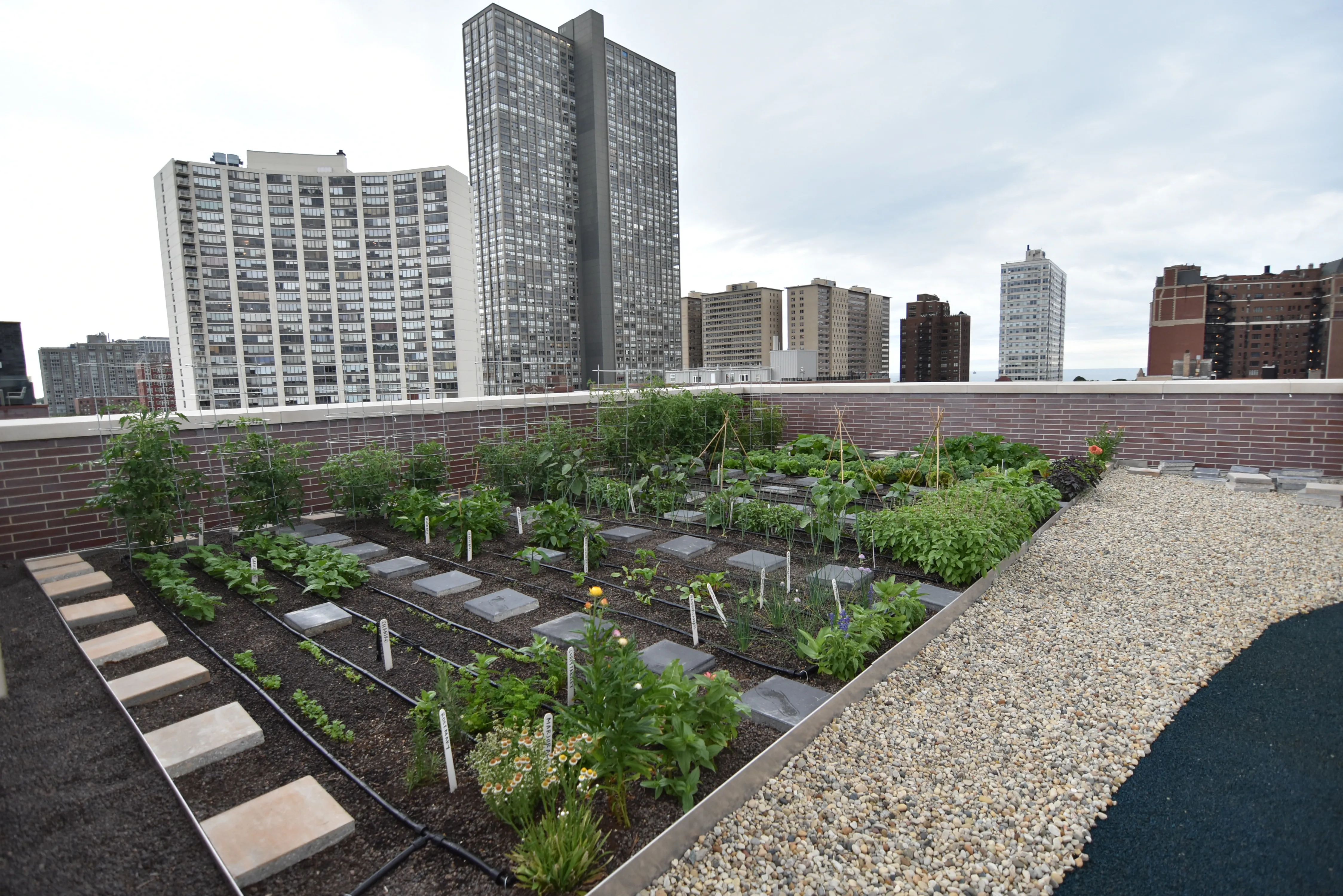 Stairs at private patio in select units at the Eagle Building Chicago