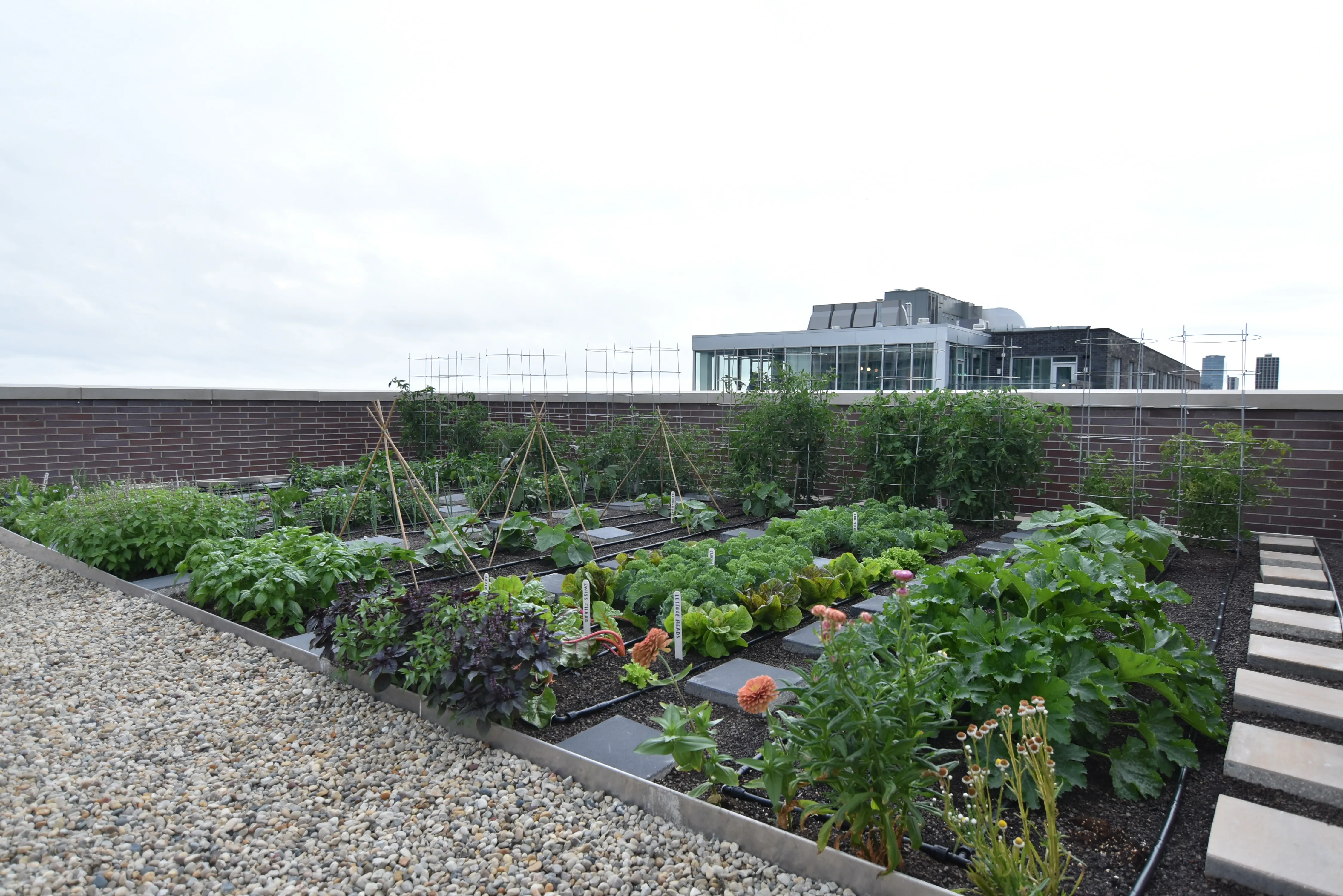 Rooftop Lounge (Wi-Fi accessible) at The Eagle Building Apartments