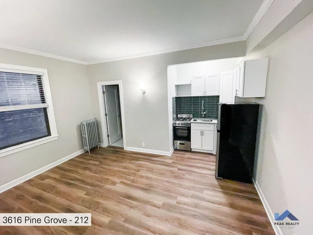 3616 N. Pine Grove Apartments for Rent Chicago Domu