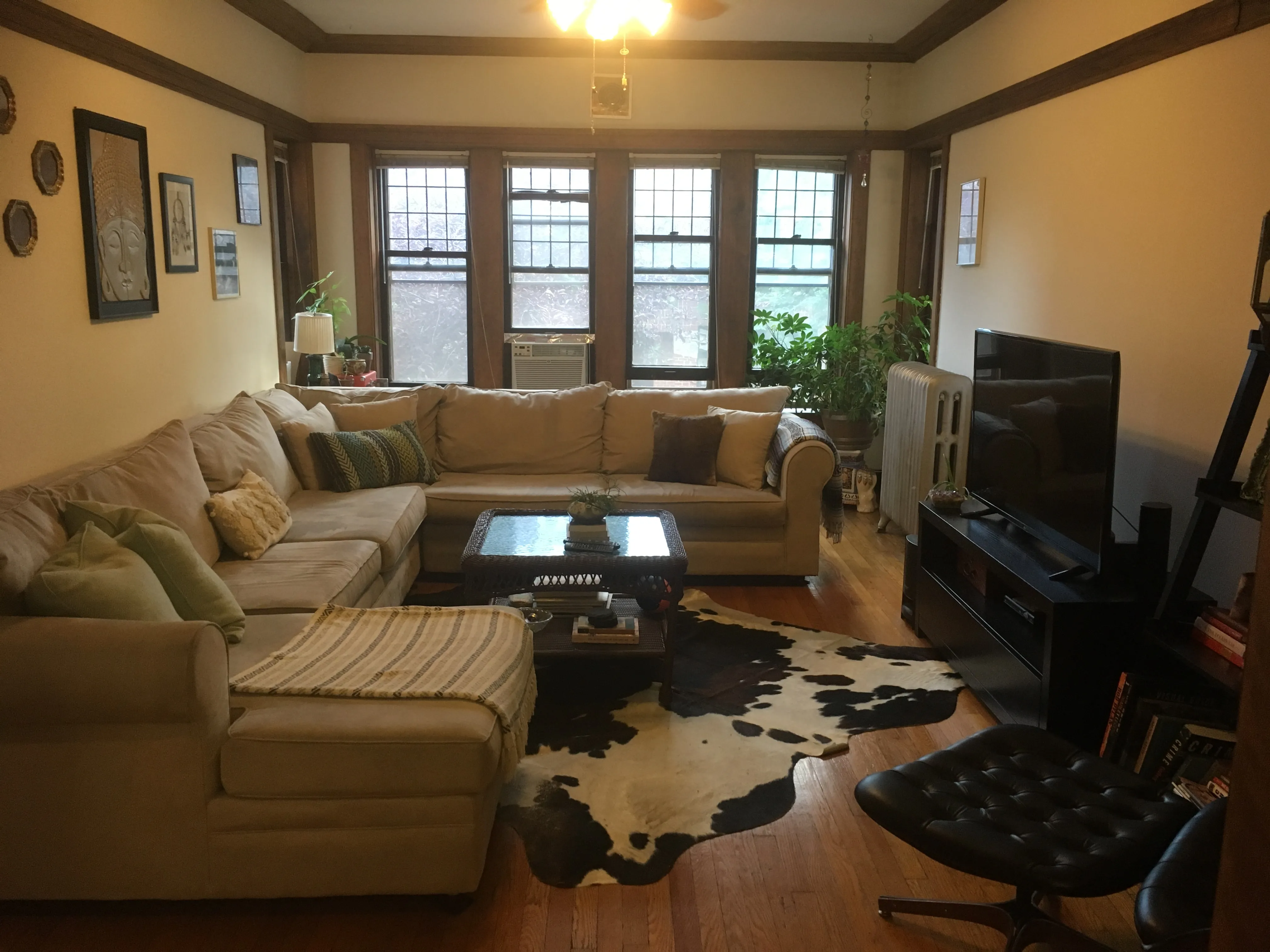 Large Sunny Living Rooms