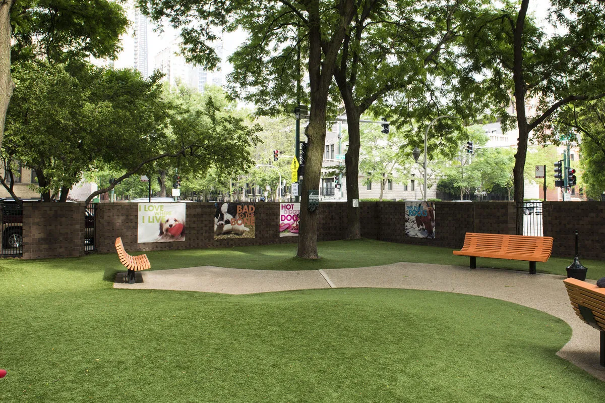 1000 N LaSalle, One Bedroom, Living Room