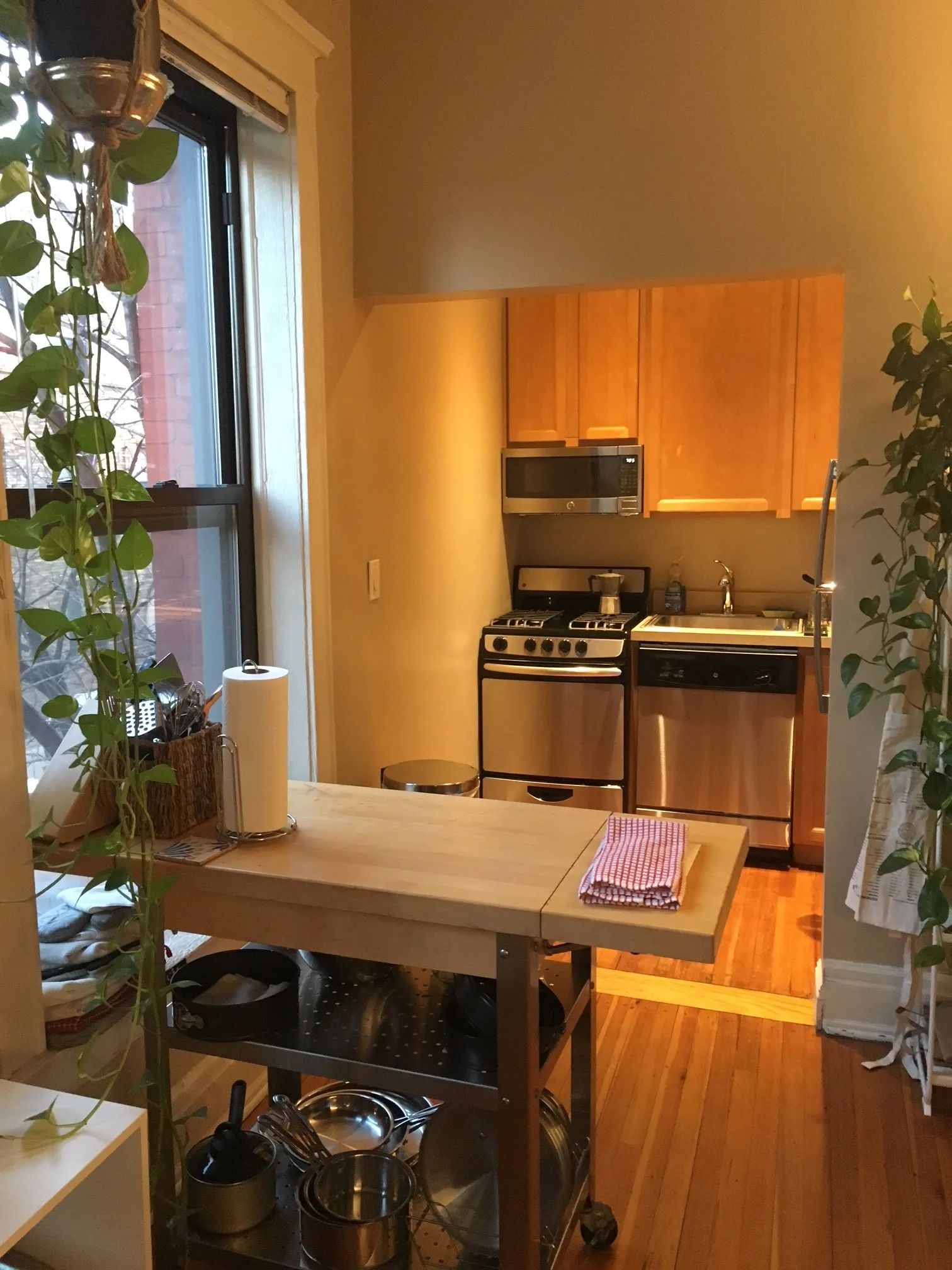 710 West Oakdale Apartments