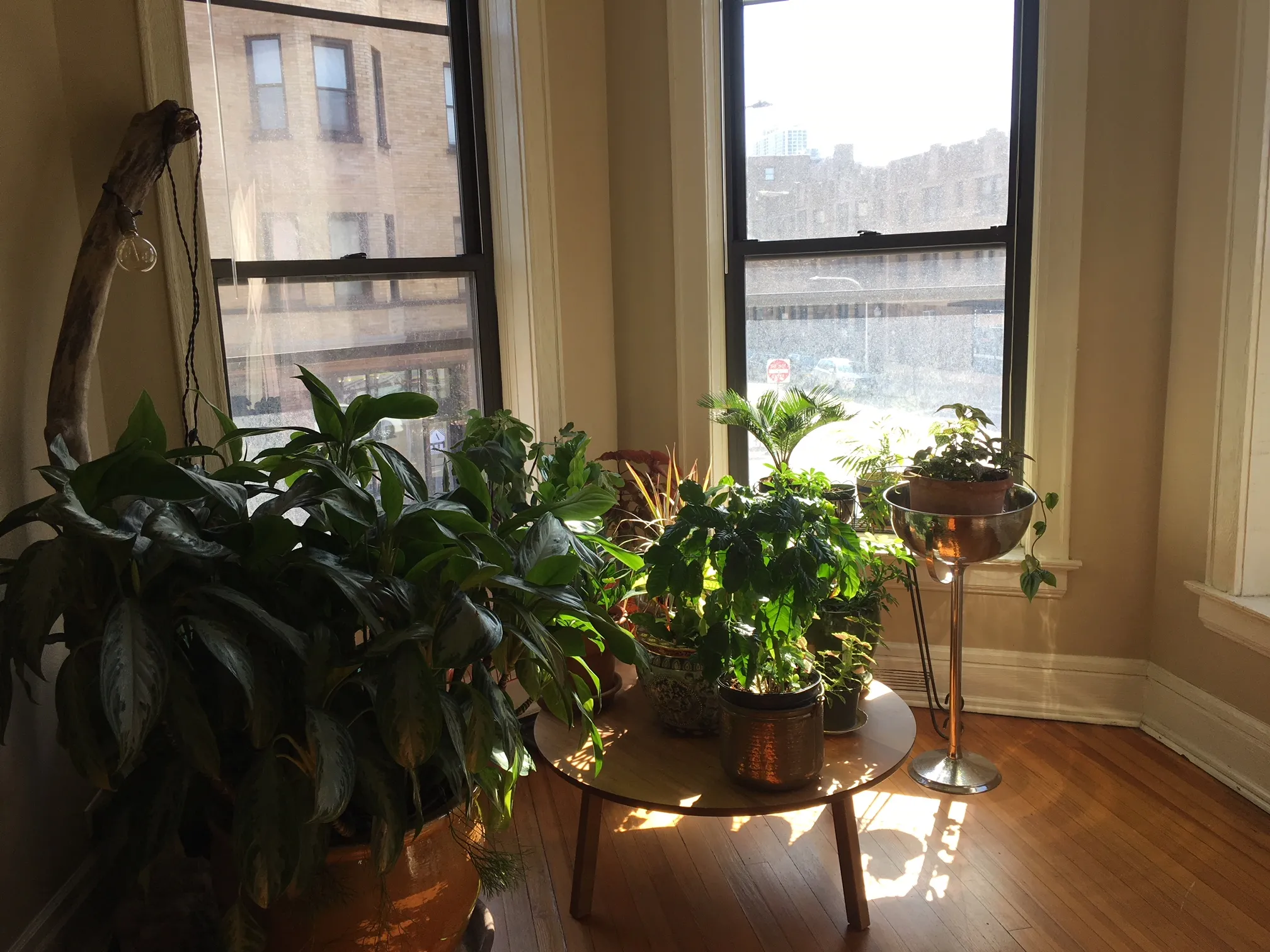 710 West Oakdale Apartments