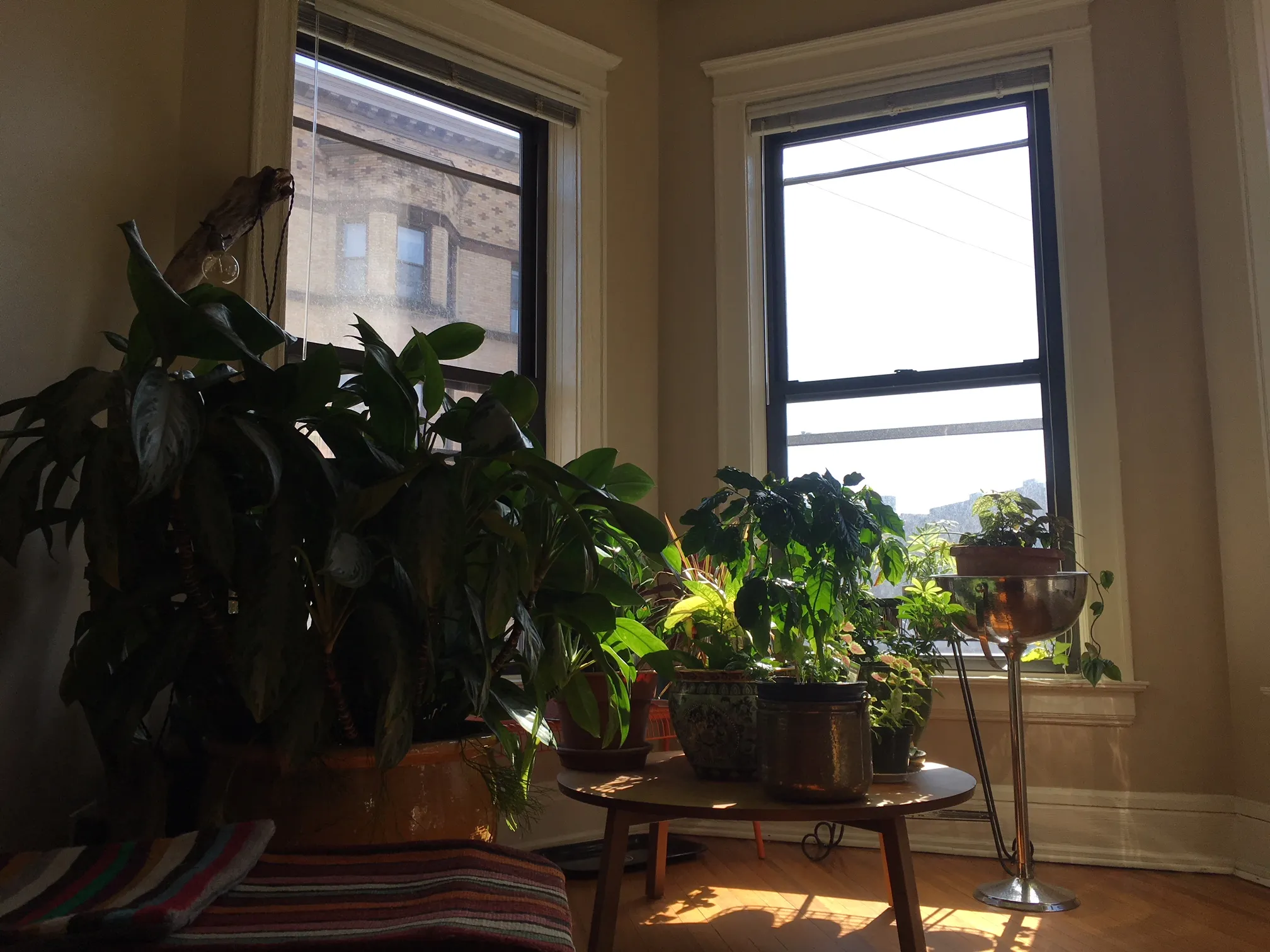 710 West Oakdale Apartments