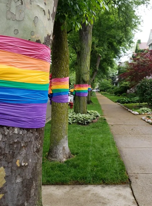 Kenmore Vista Apartments