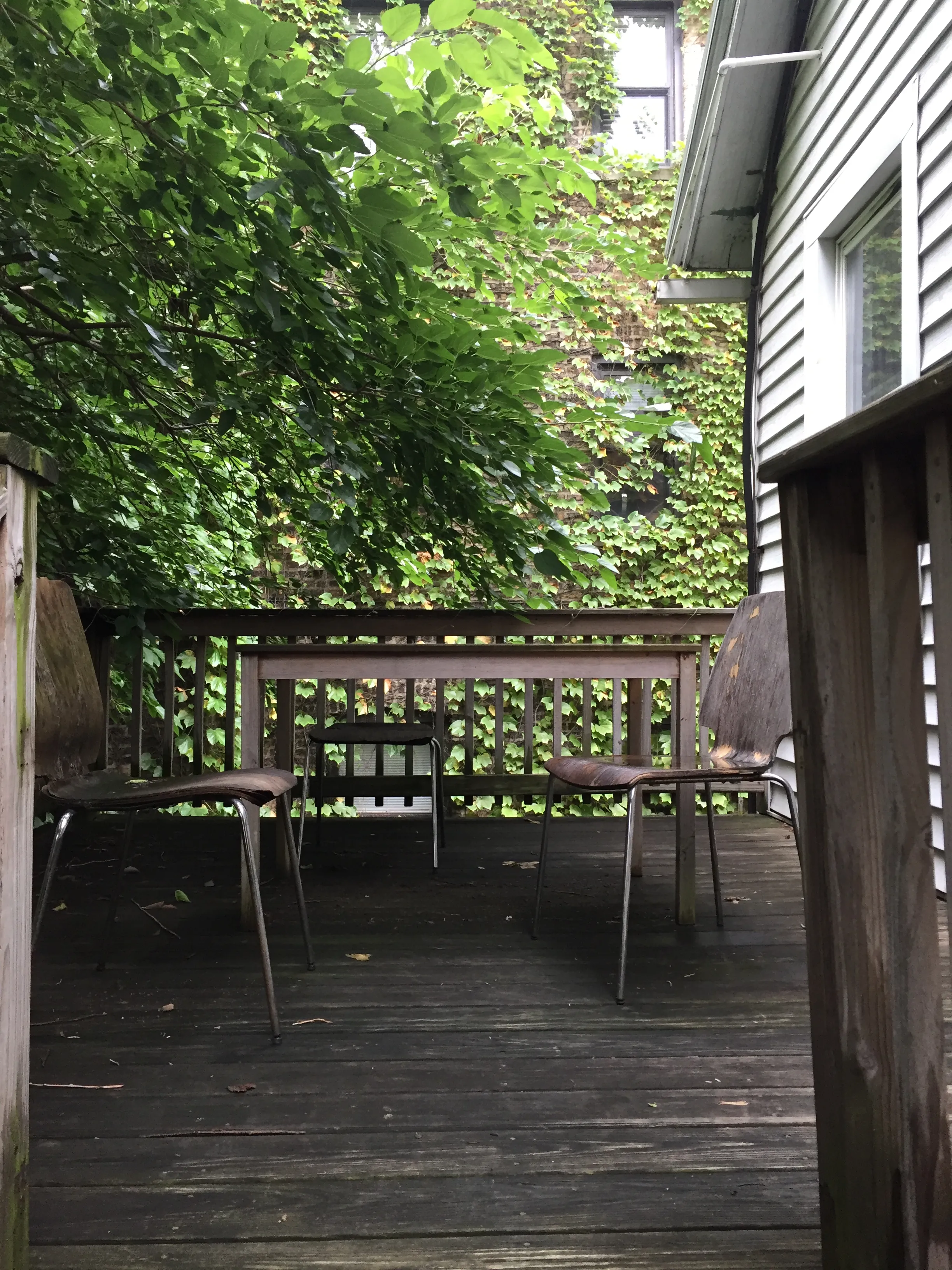 2539 N SEMINARY AVE 60614-unit#002-Chicago-IL
