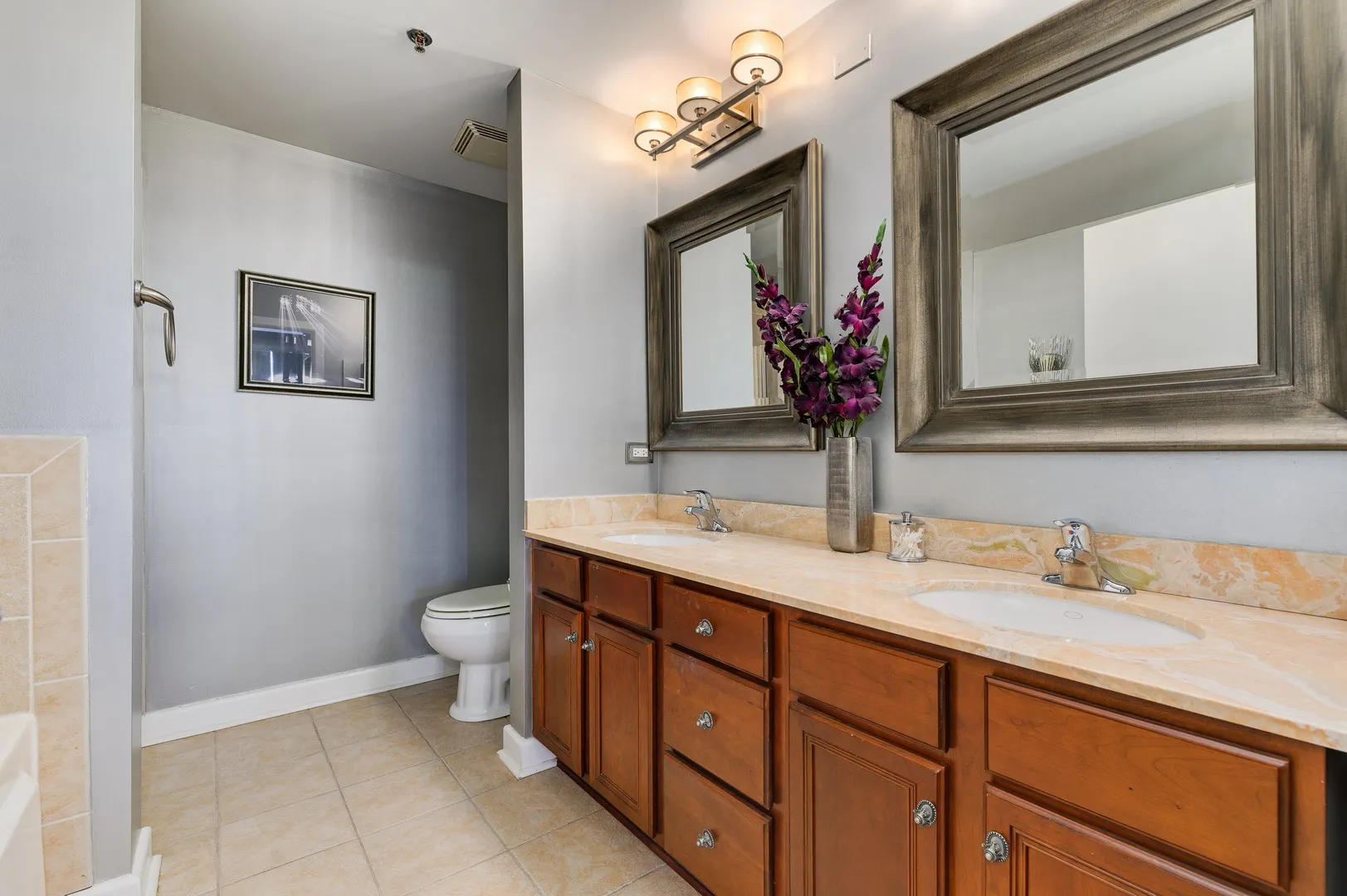 1305 S MICHIGAN AVE 60605-unit#1704-Chicago-IL