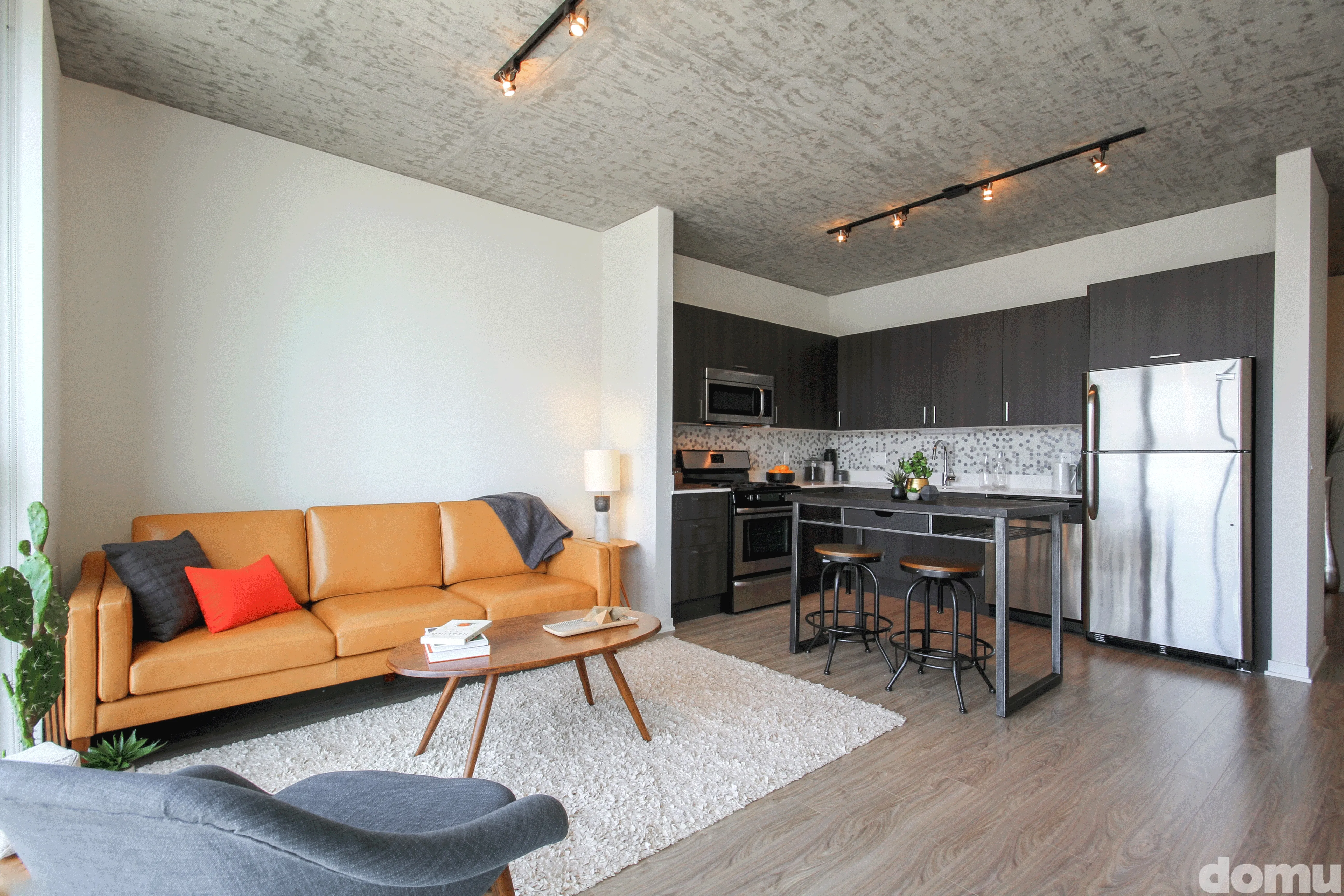 living room fuurnished at 1333 South Wabash Apartments South Loop Chicago