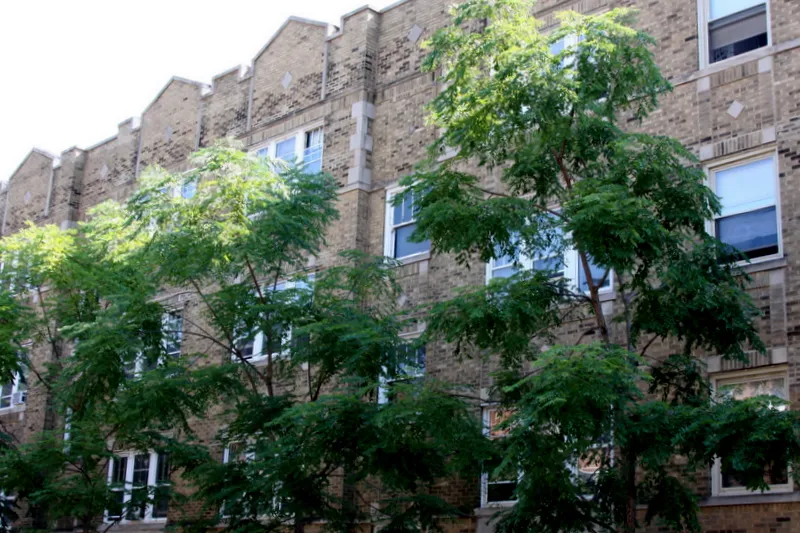 tress and brick front of 4551-4553 N Claremont Apartments