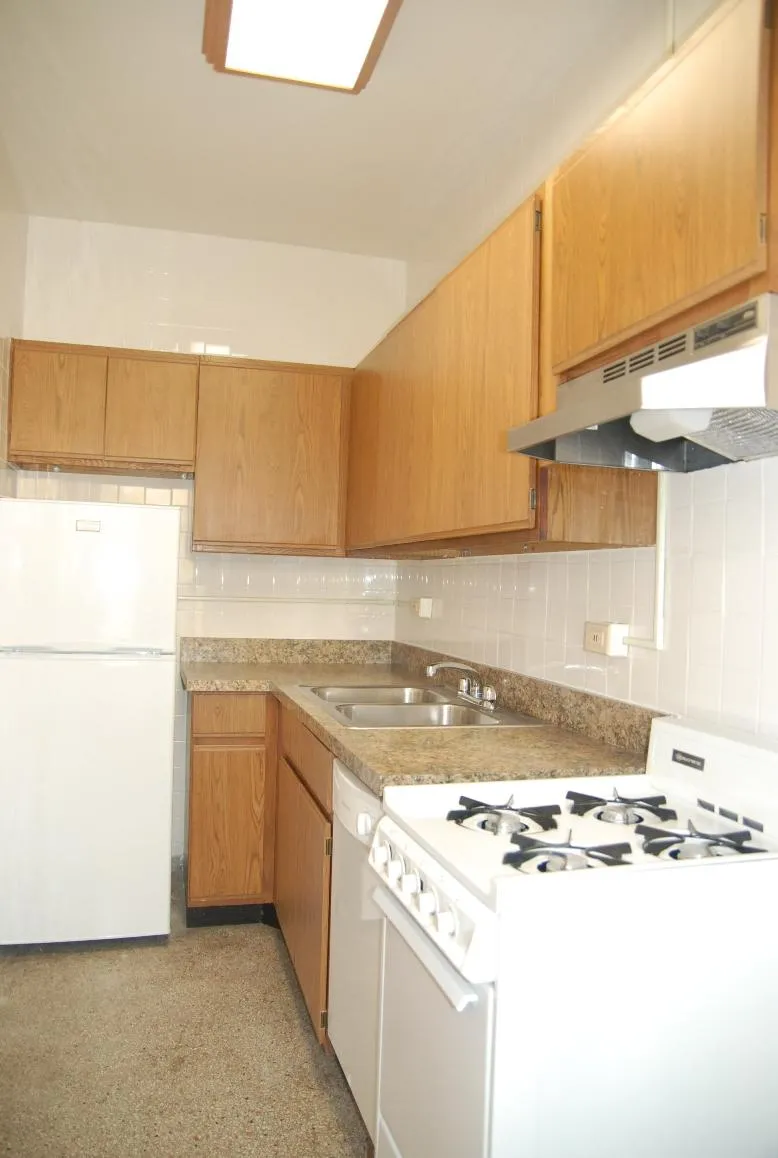 530 W Diversey Apartments