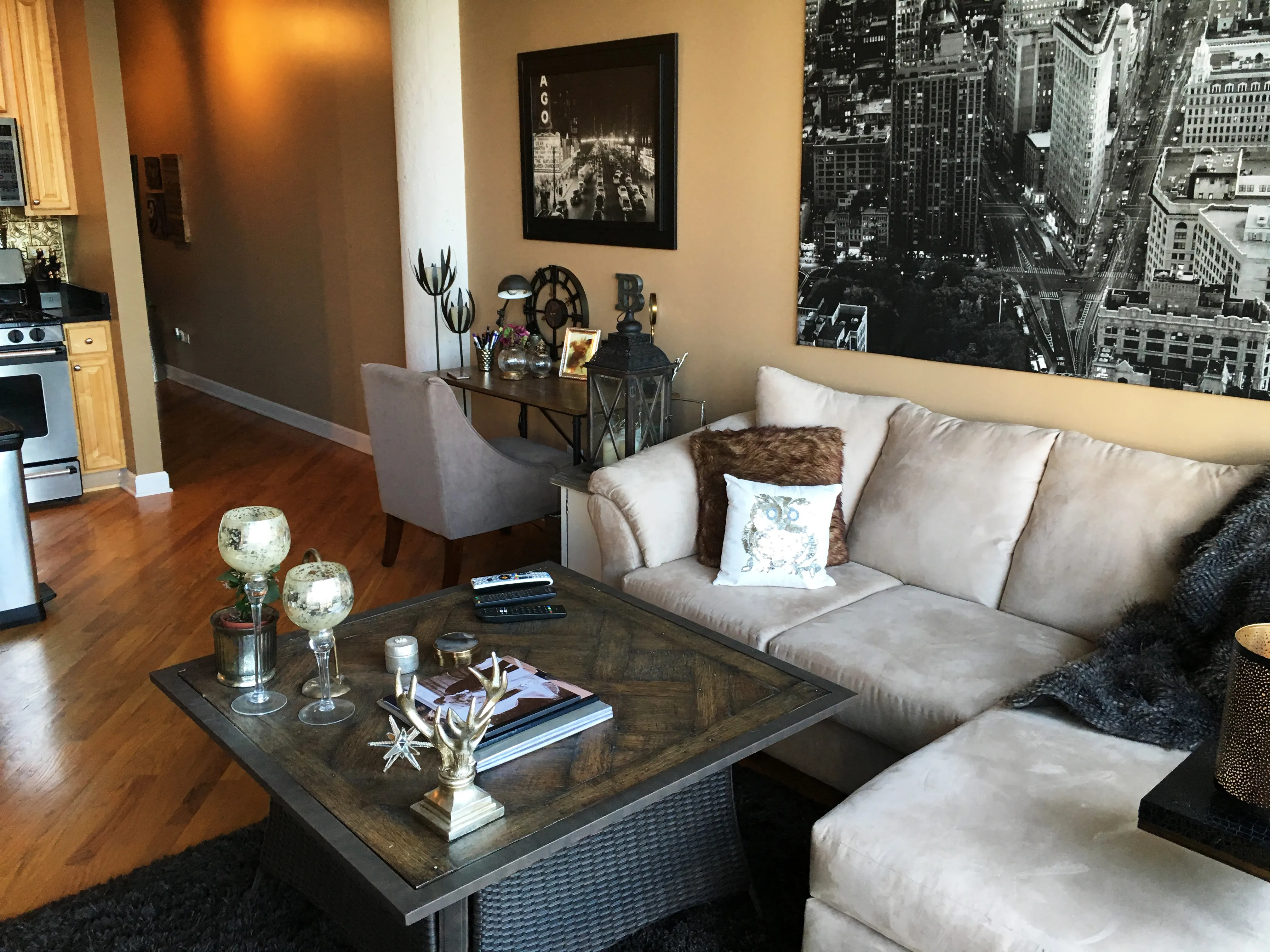 221 E CULLERTON ST 60616-Prarie Loft -unit#506-Chicago-IL