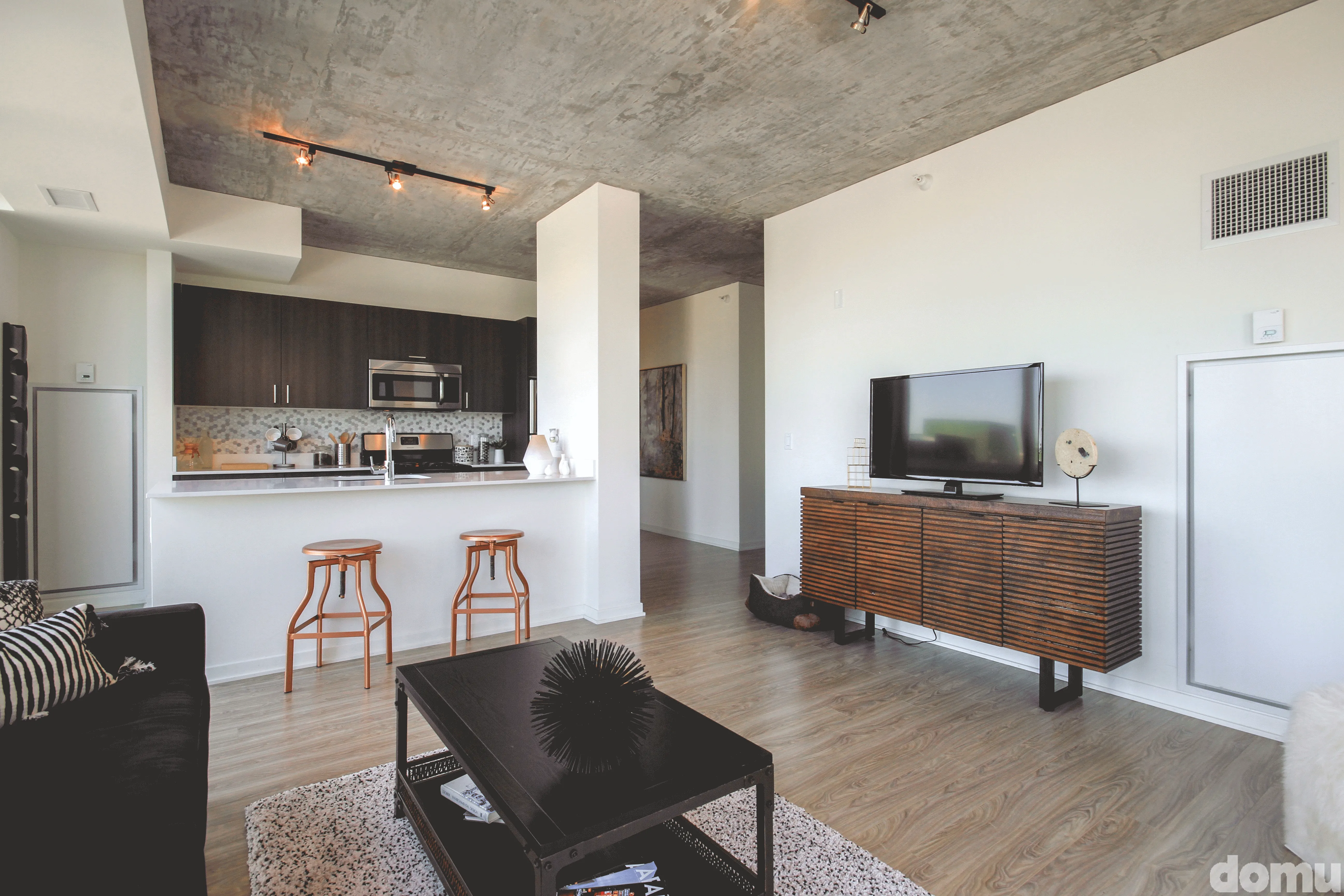 living room fuurnished at 1333 South Wabash Apartments South Loop Chicago